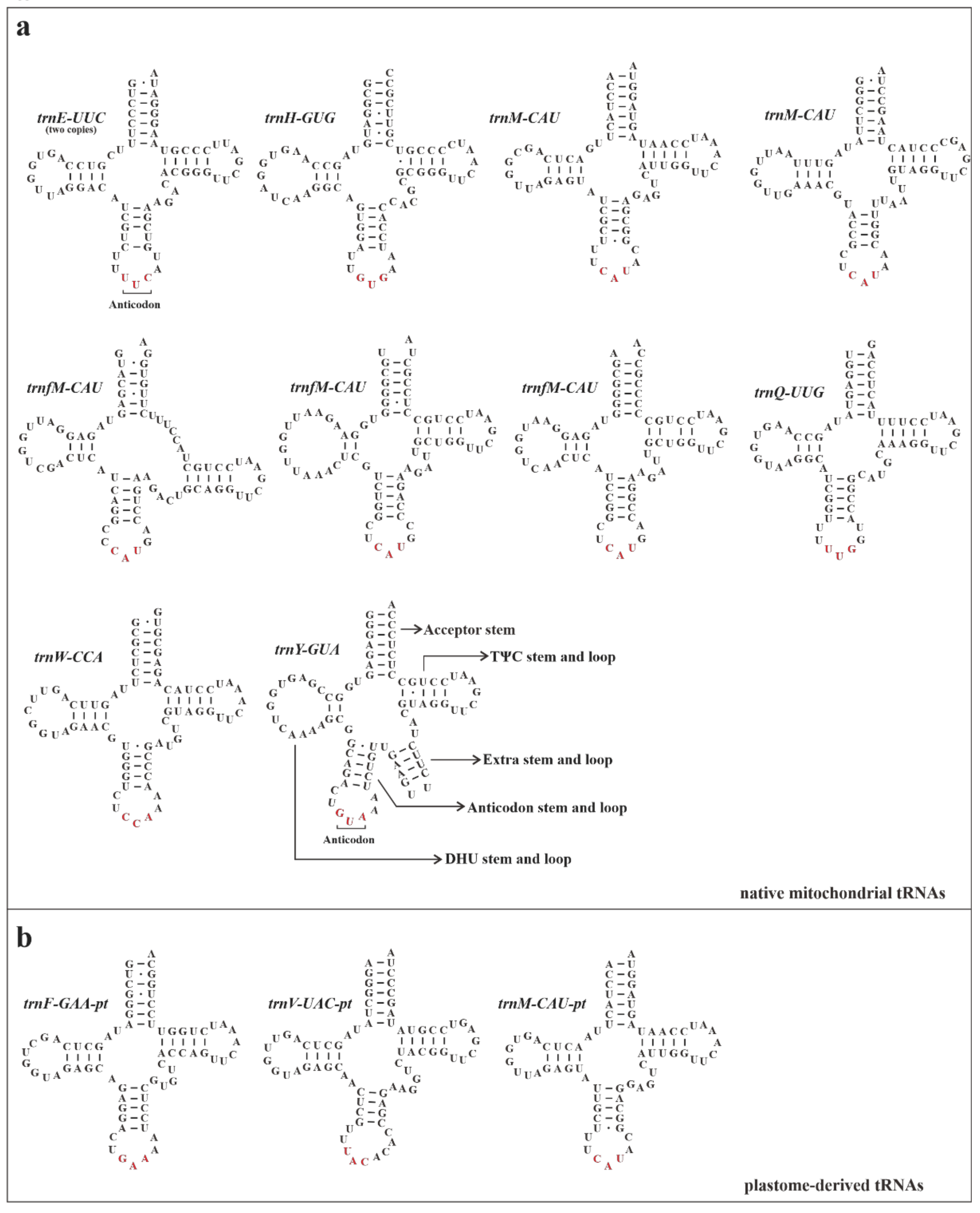 Biology 11 01661 g006 Biology 11 01661 g006