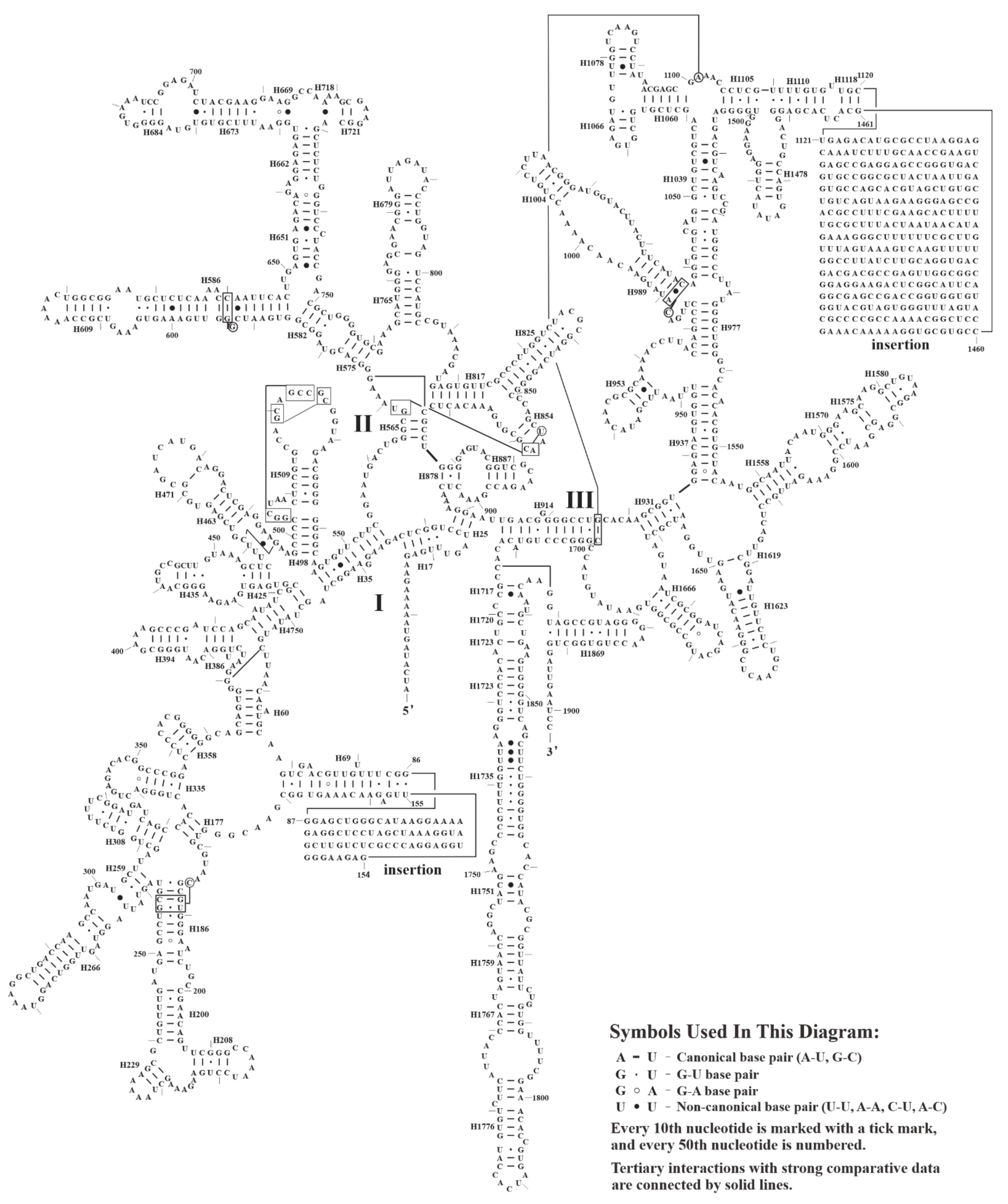 Biology 11 01661 g008 Biology 11 01661 g008