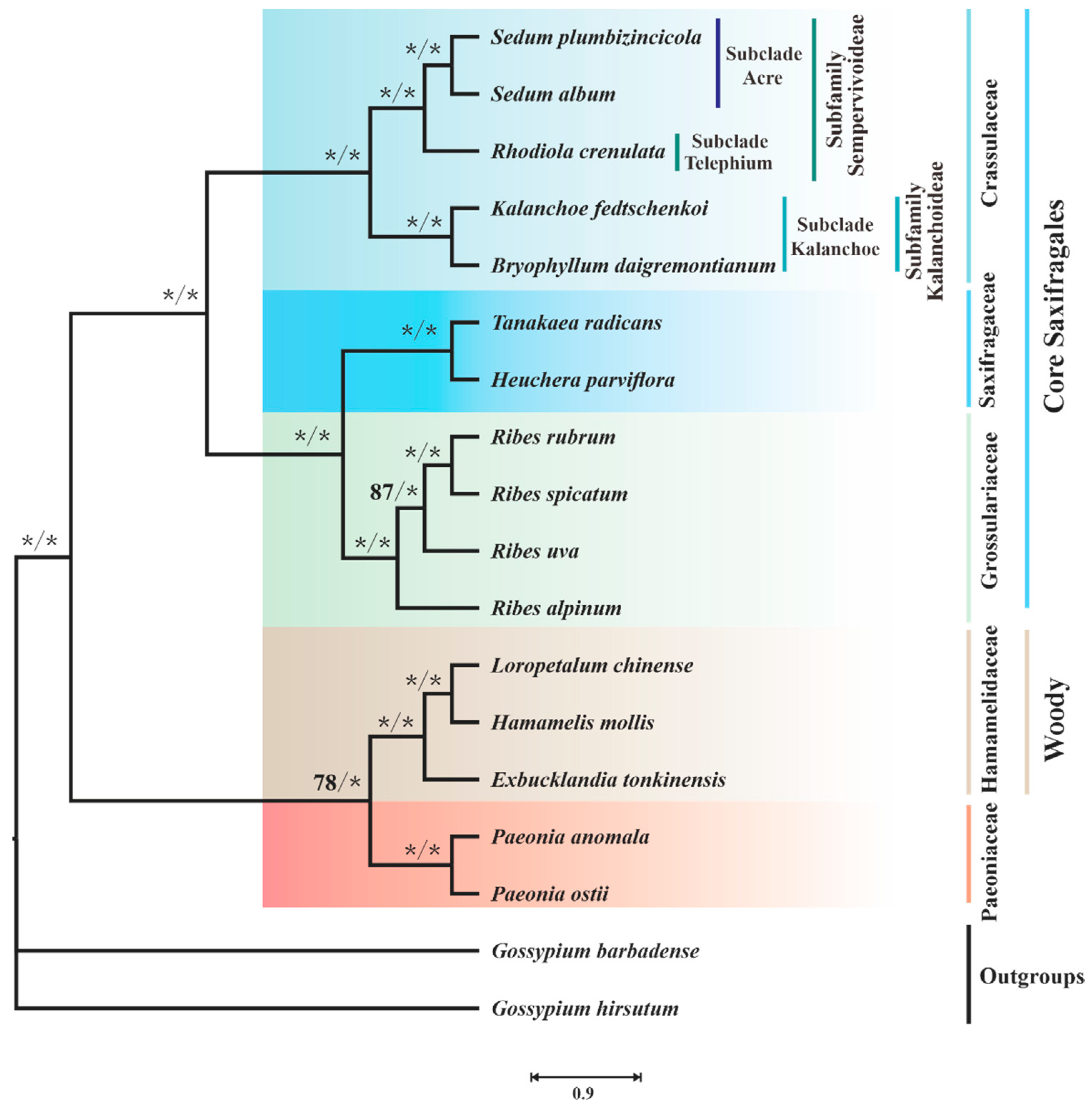 Biology 11 01661 g009 Biology 11 01661 g009