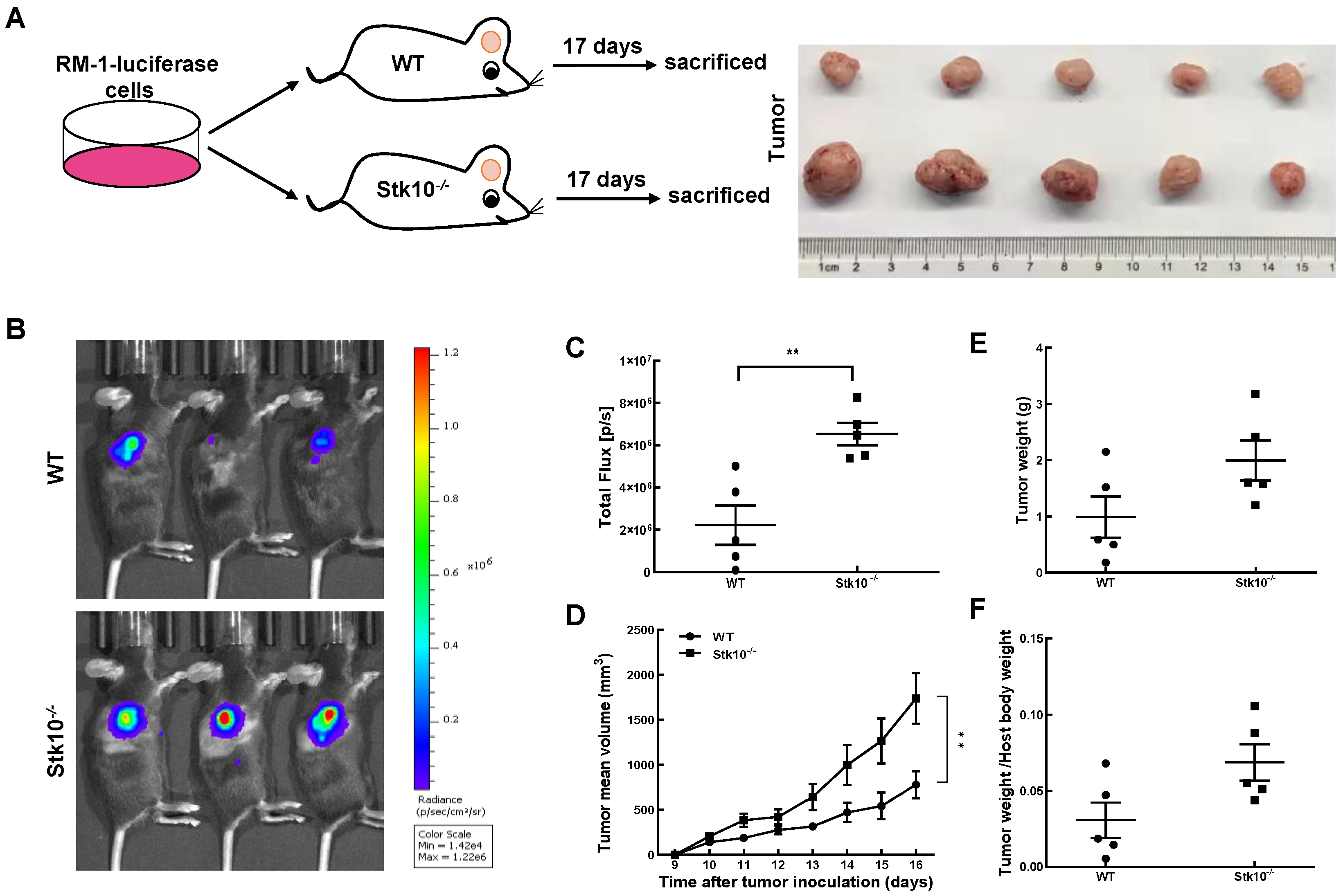 Biology 11 01668 g003
