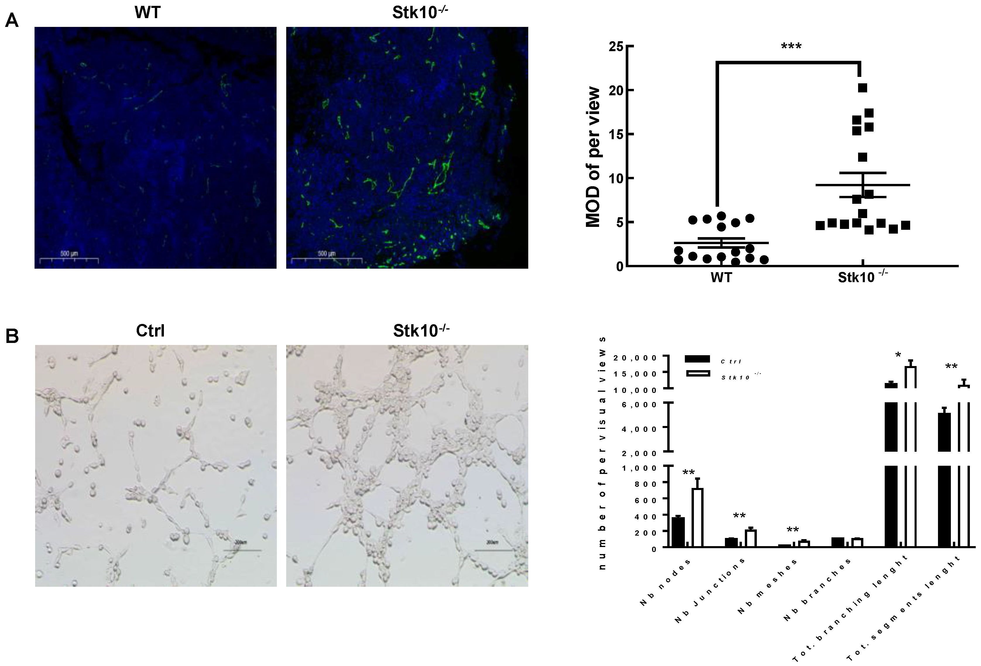 Biology 11 01668 g007