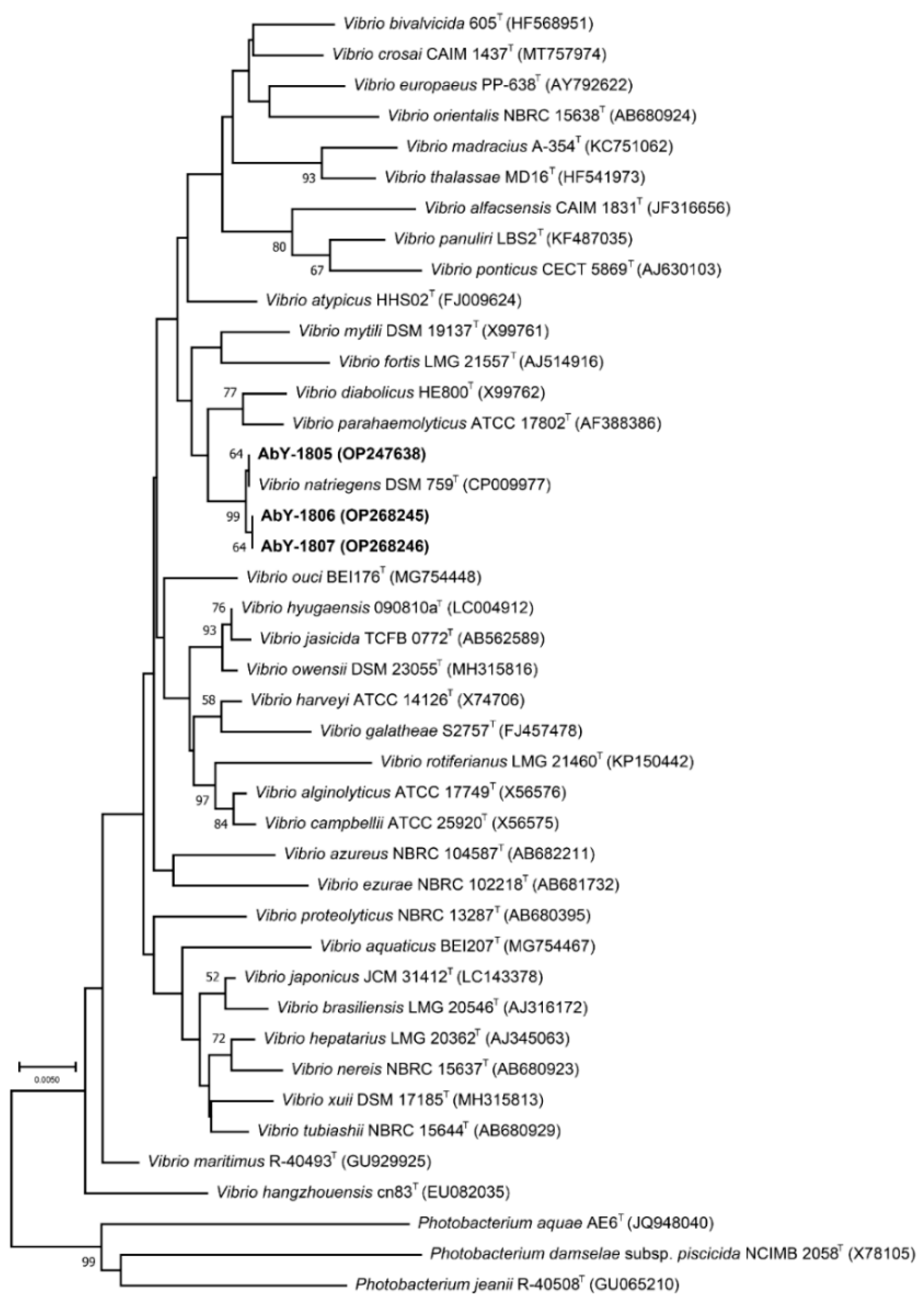 Biology 11 01670 g001