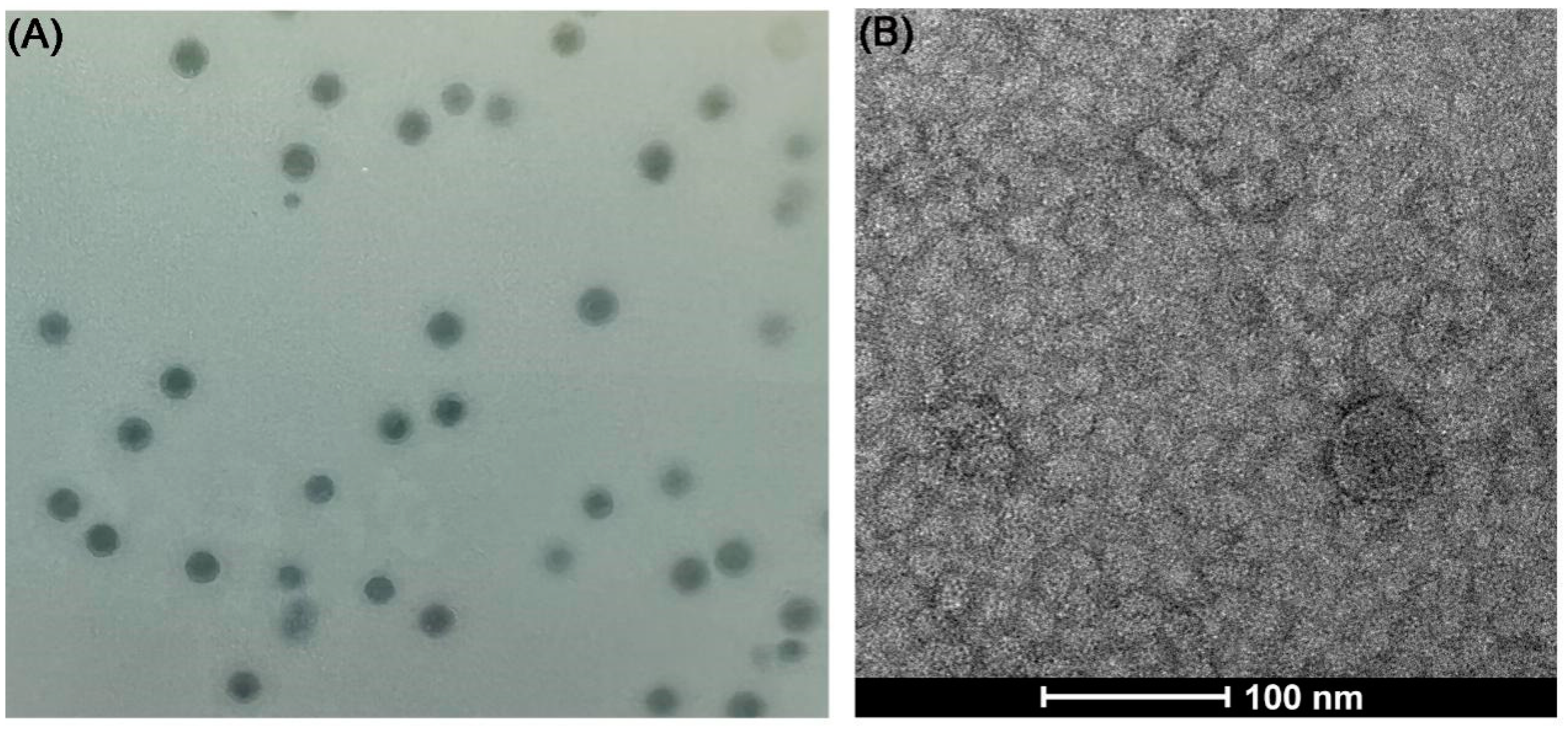 Biology 11 01670 g002