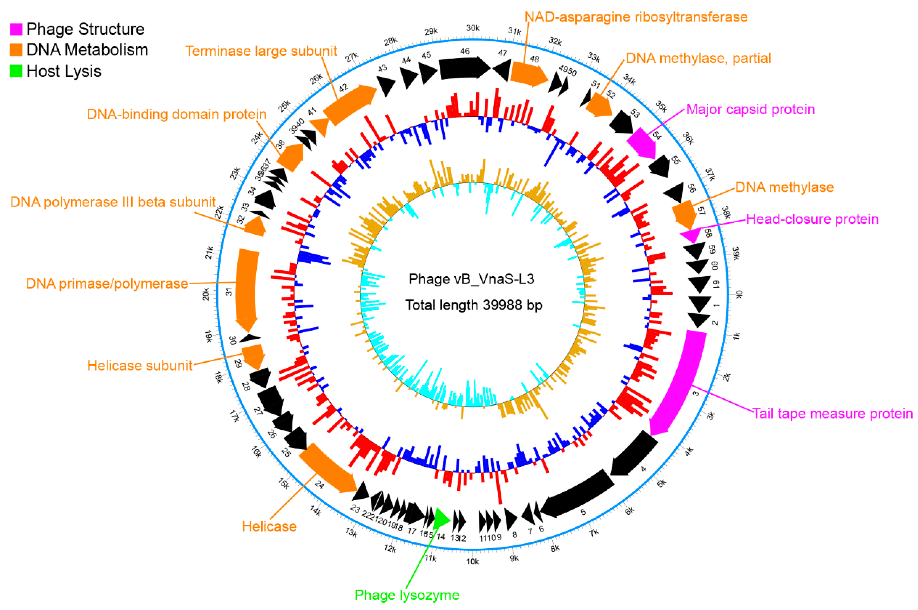 Biology 11 01670 g005