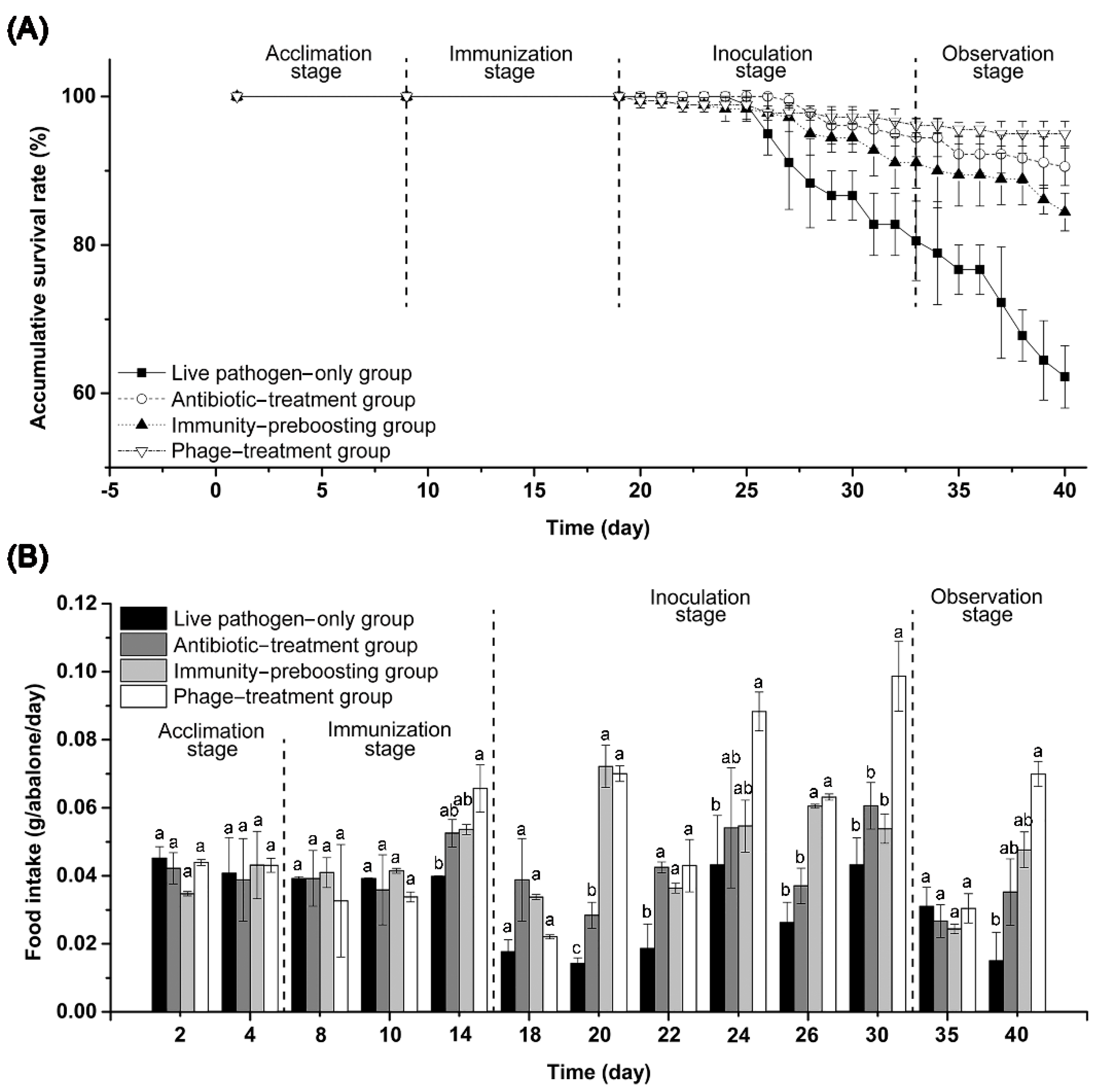 Biology 11 01670 g008