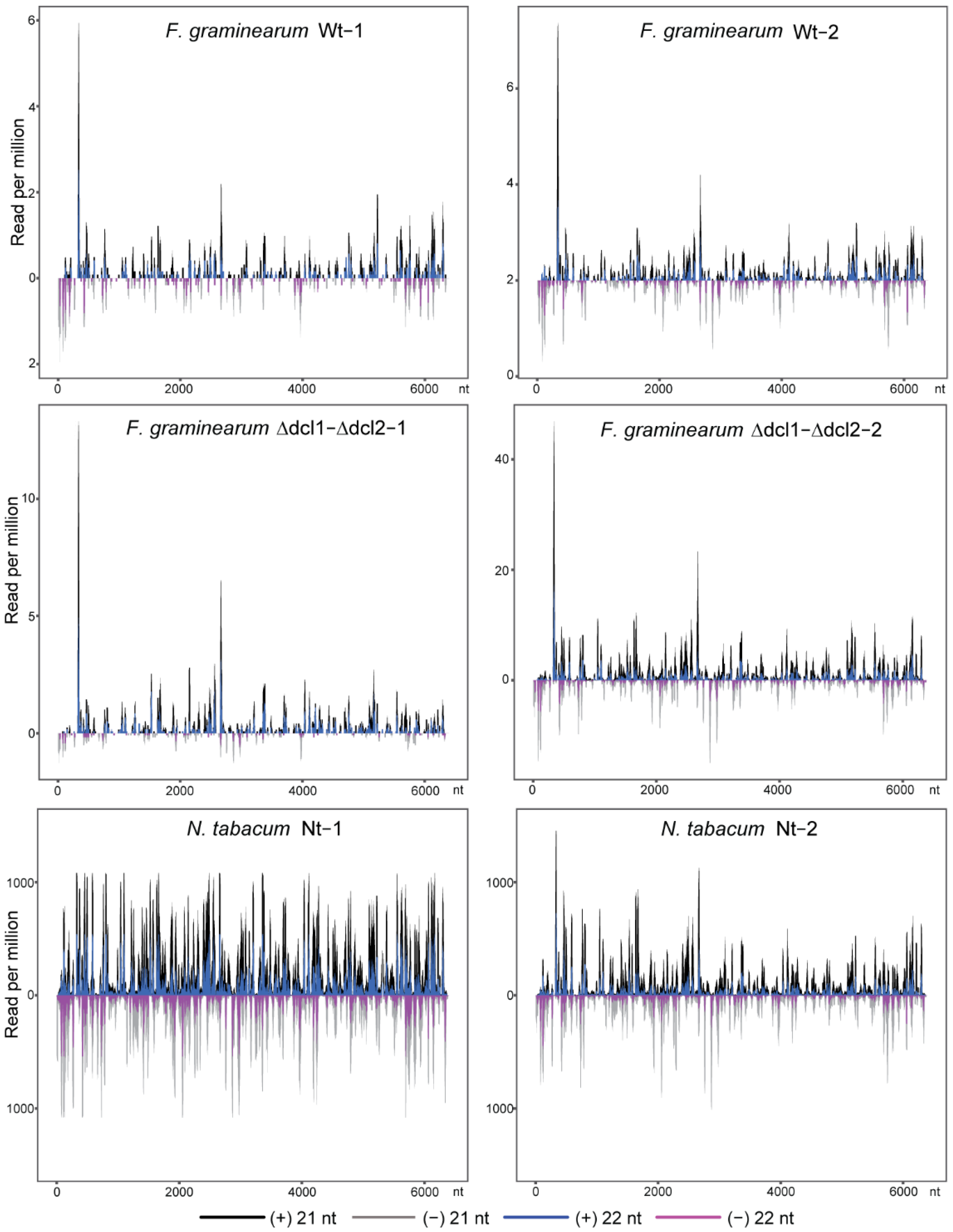 Biology 11 01672 g005