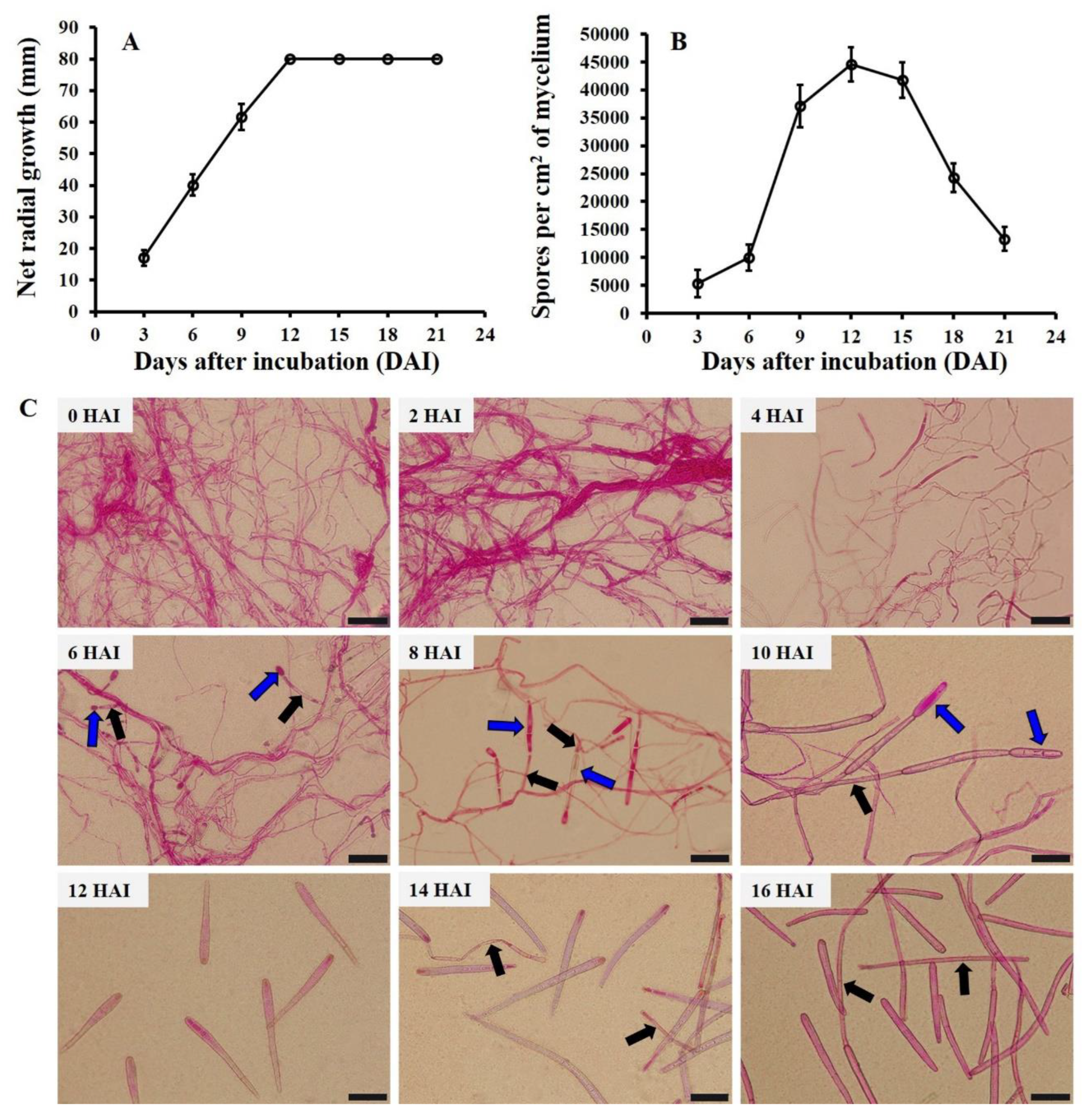 Biology 11 01675 g001