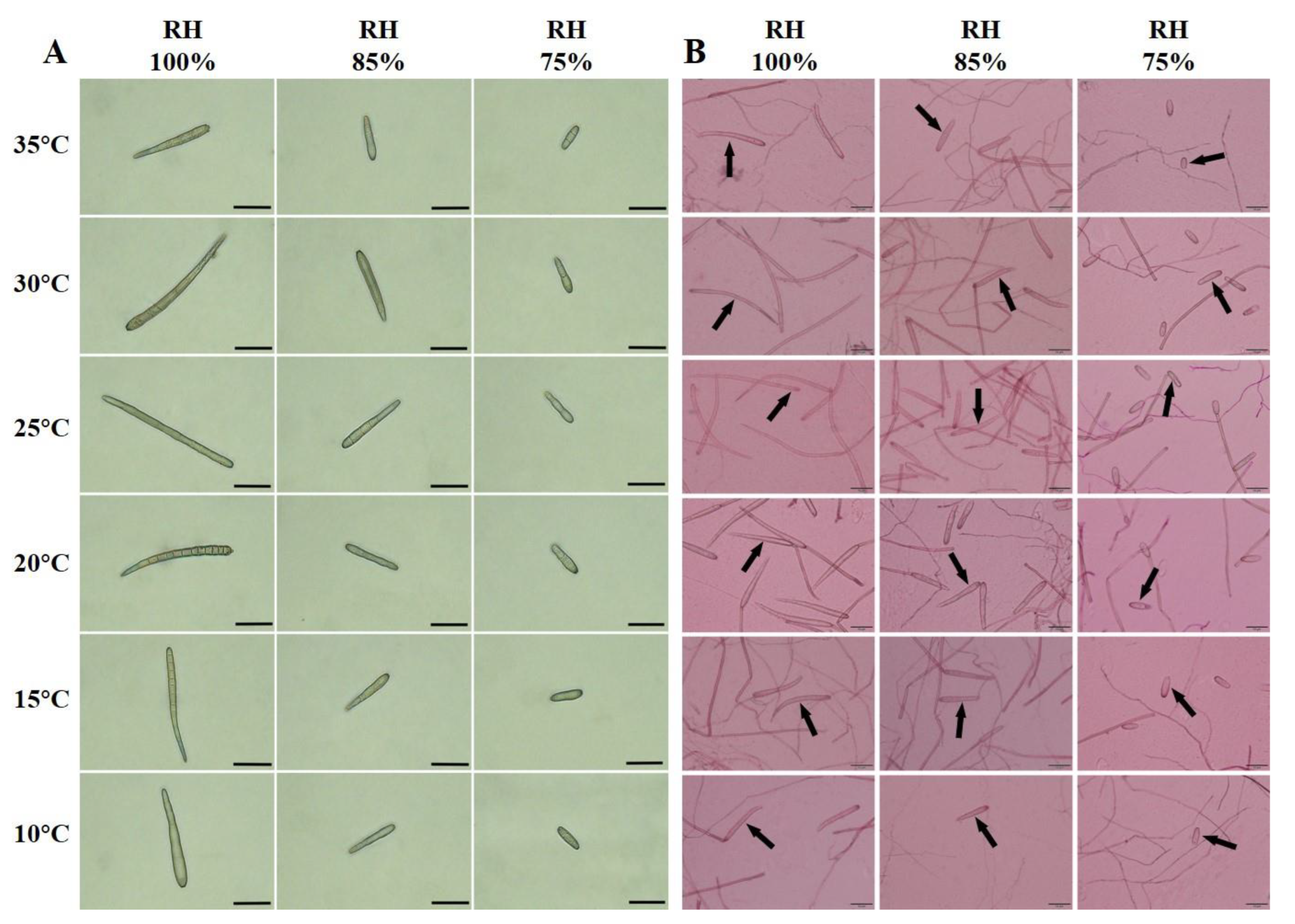 Biology 11 01675 g003