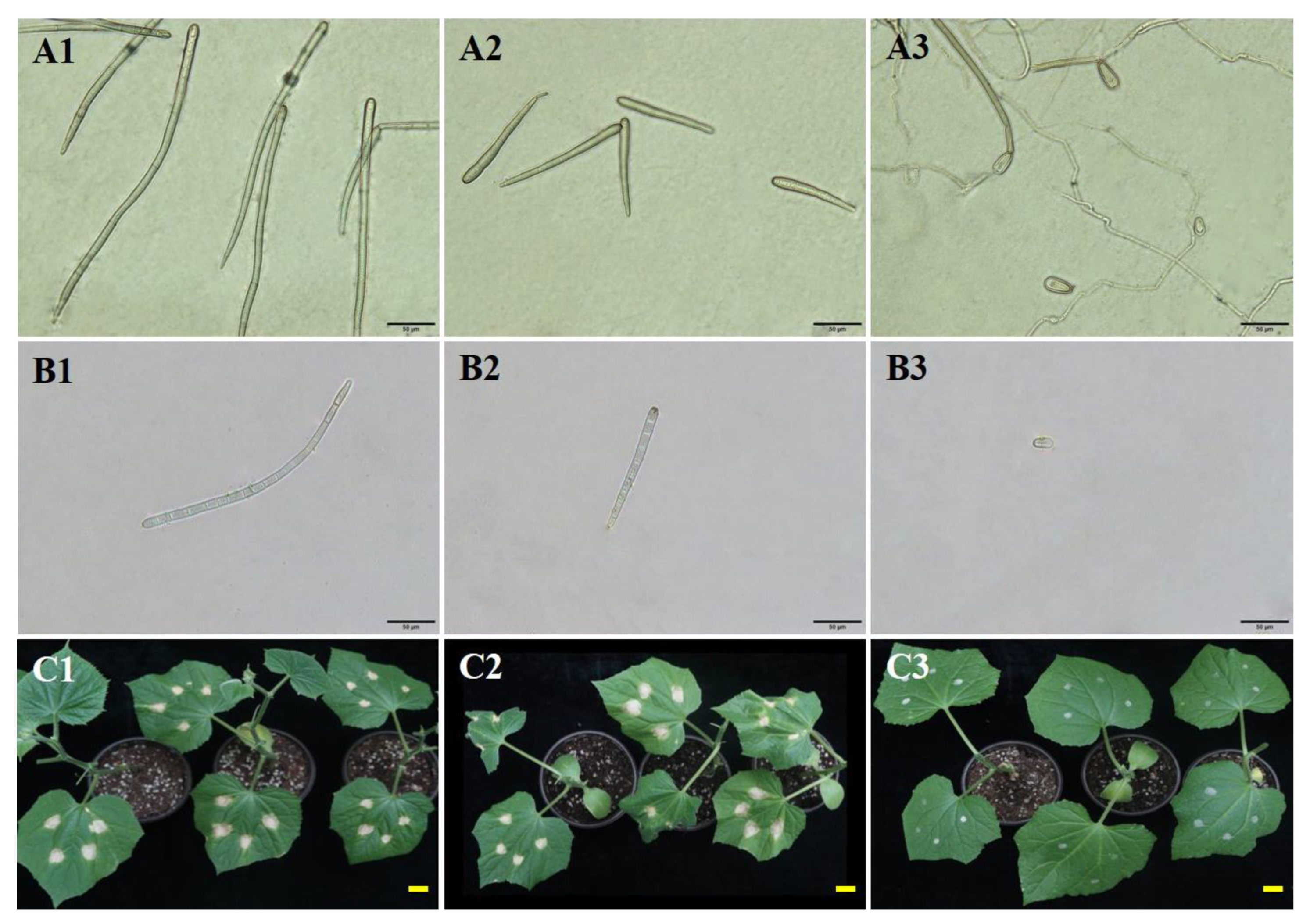 Biology 11 01675 g005