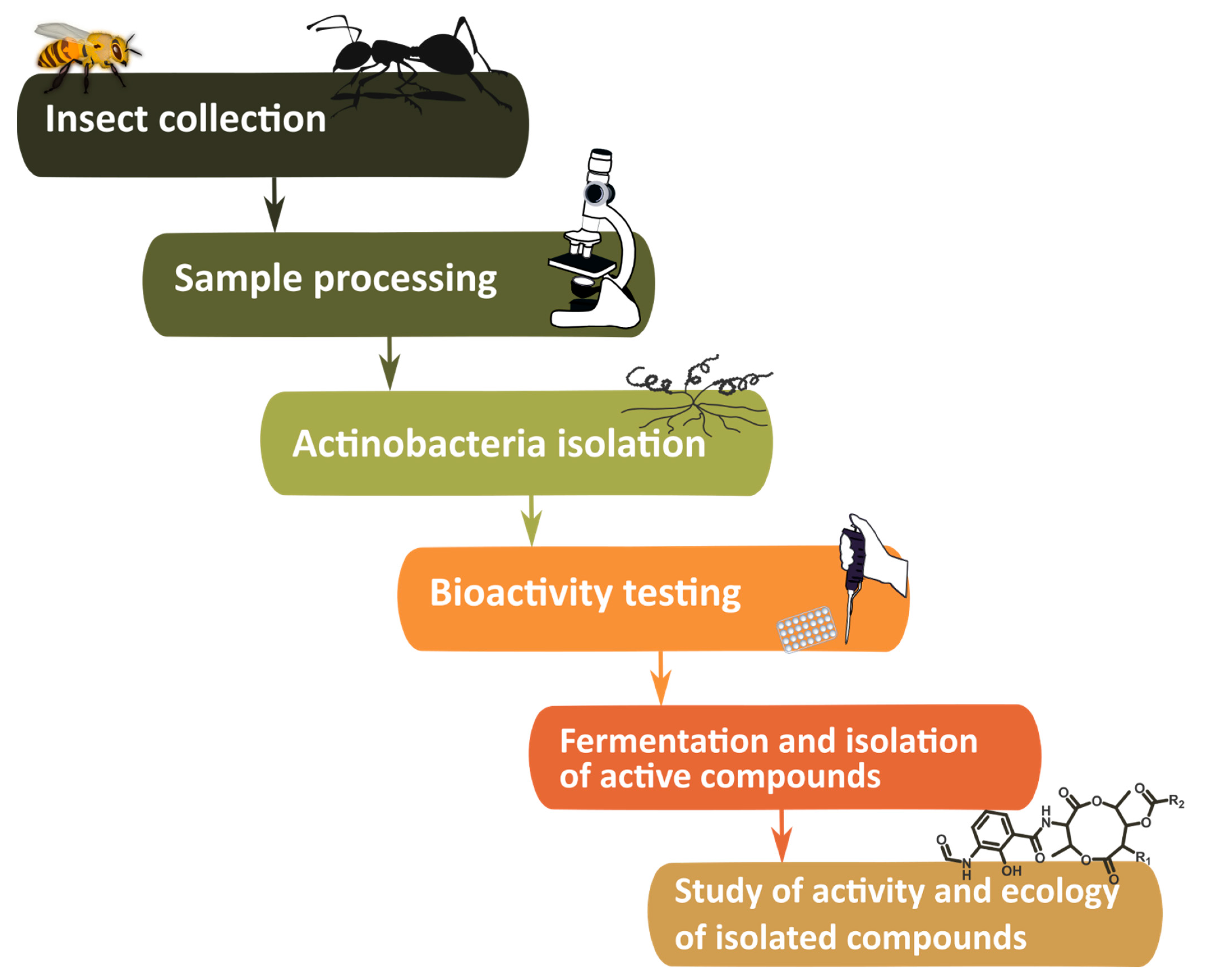 Biology 11 01676 sch001 Biology 11 01676 sch001