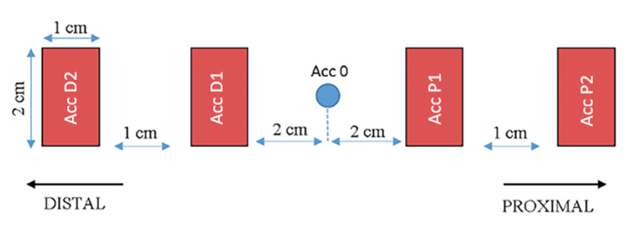 Biology 11 01677 g002