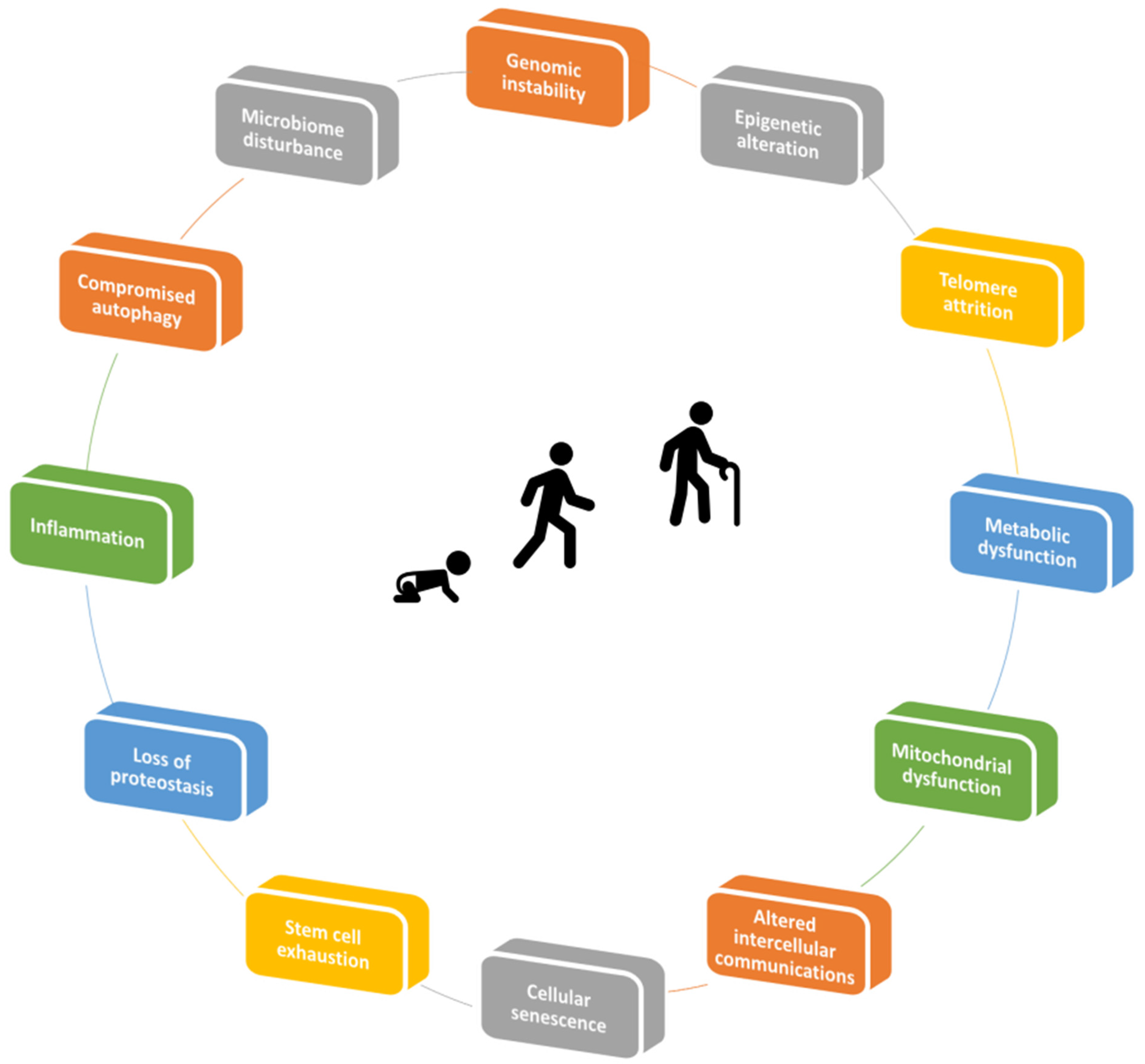 Biology 11 01678 g001 Biology 11 01678 g001