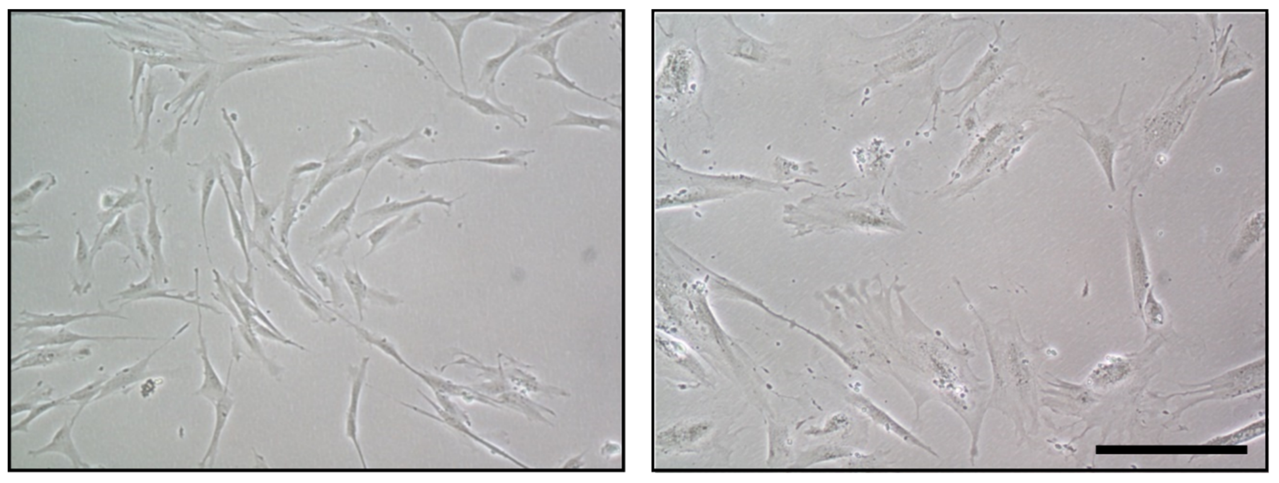 Biology 11 01678 g002 Biology 11 01678 g002