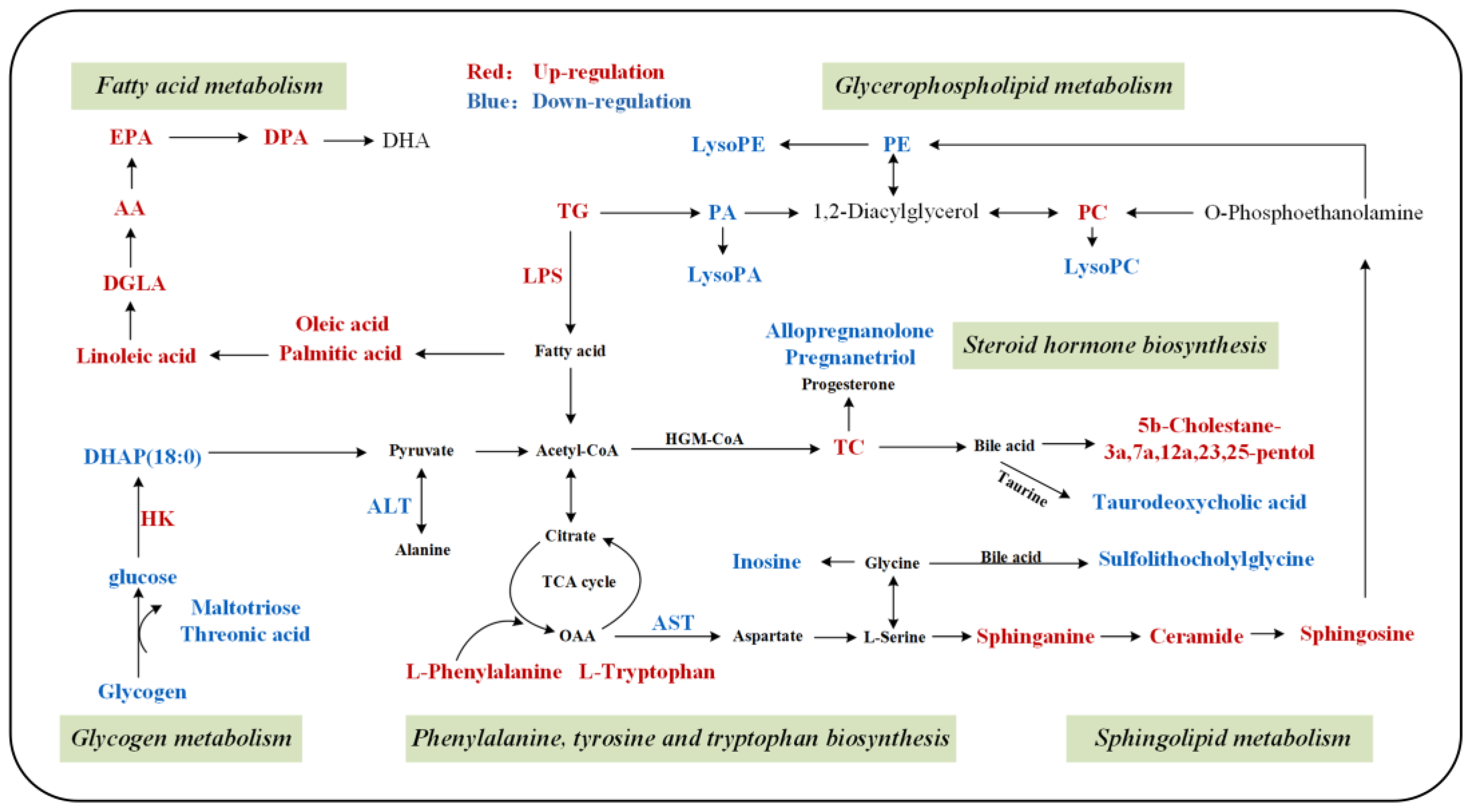 Biology 11 01679 g005