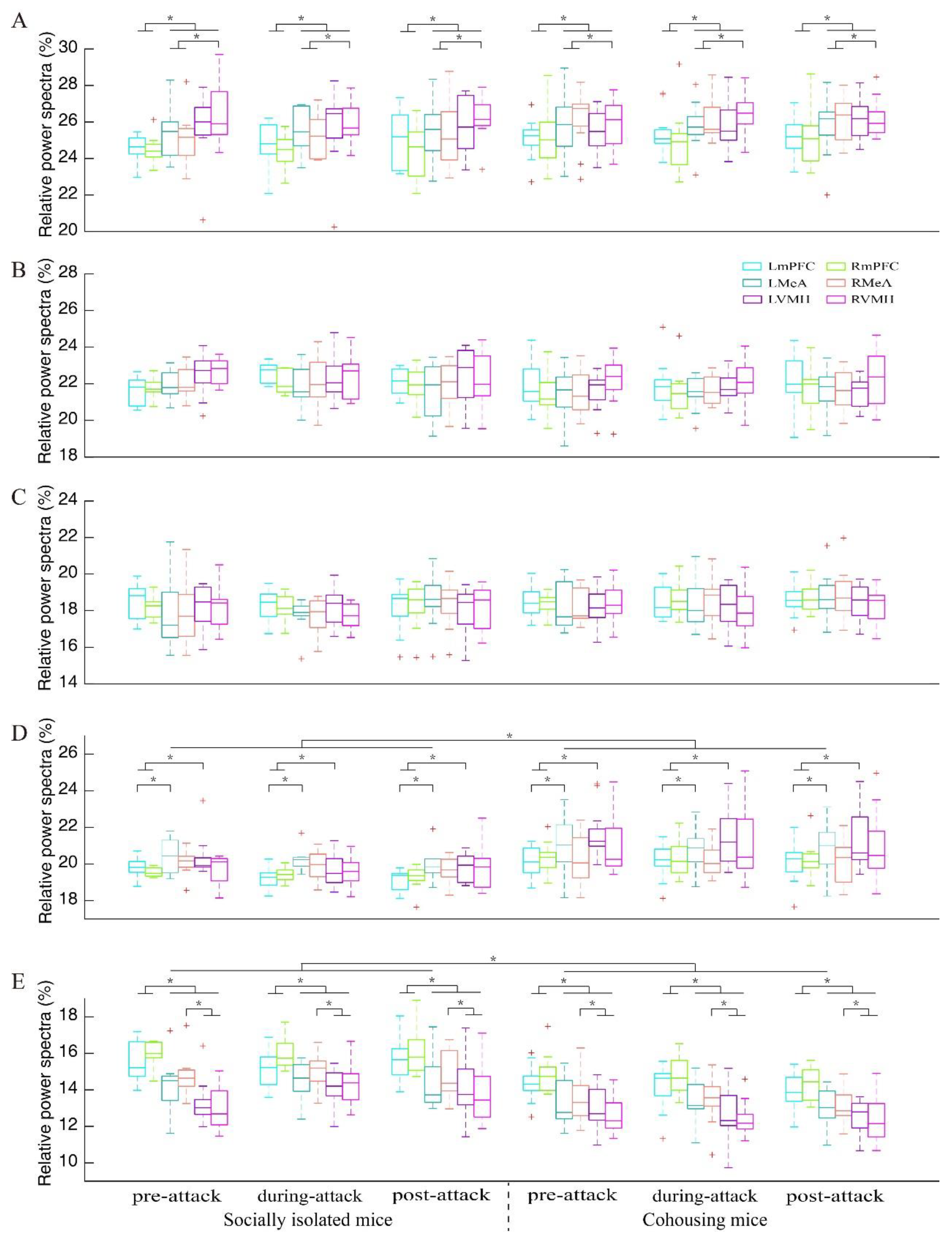 High-Frequency Local Field Potential Oscillations May