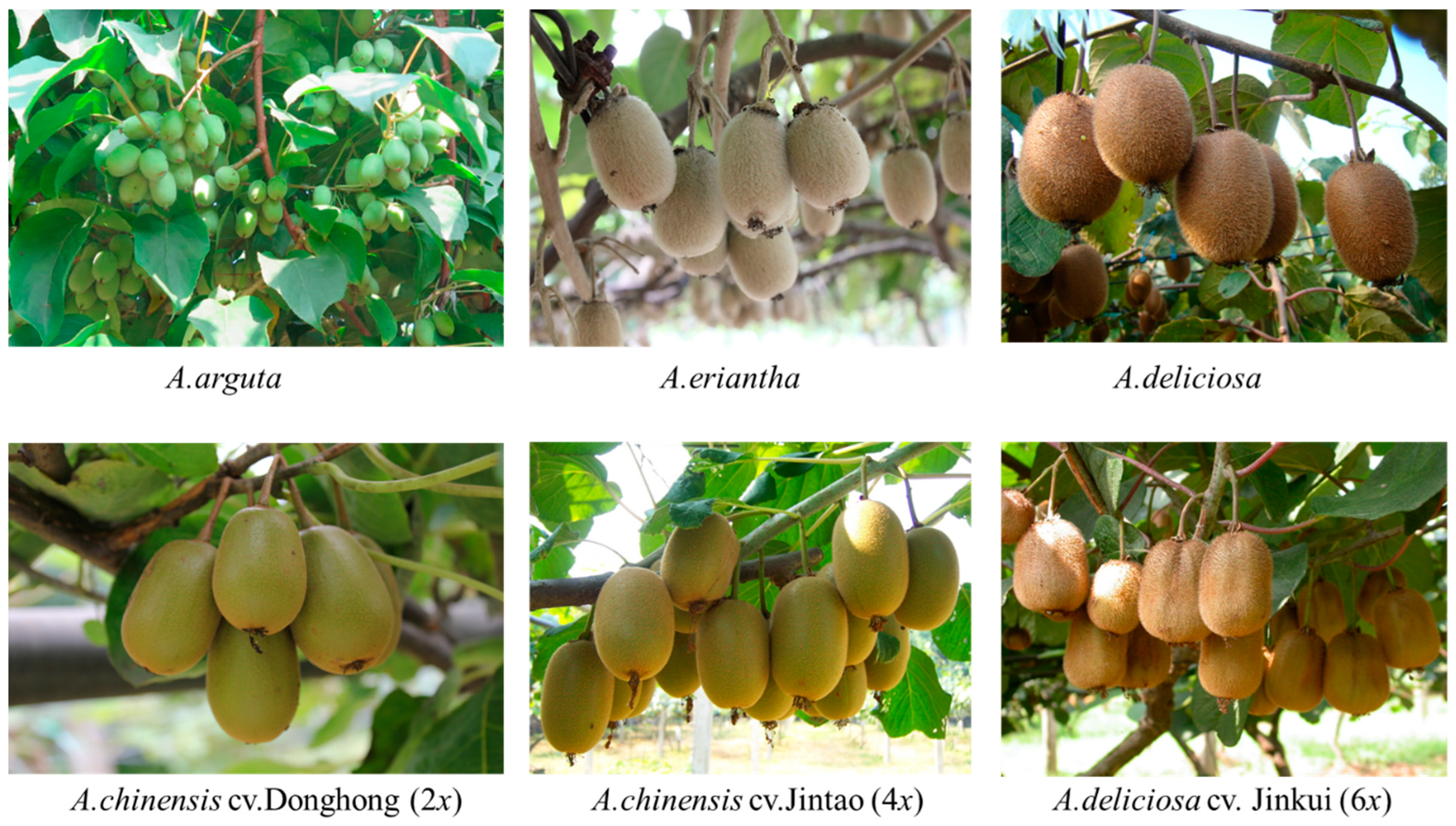 Biology 11 01686 g001