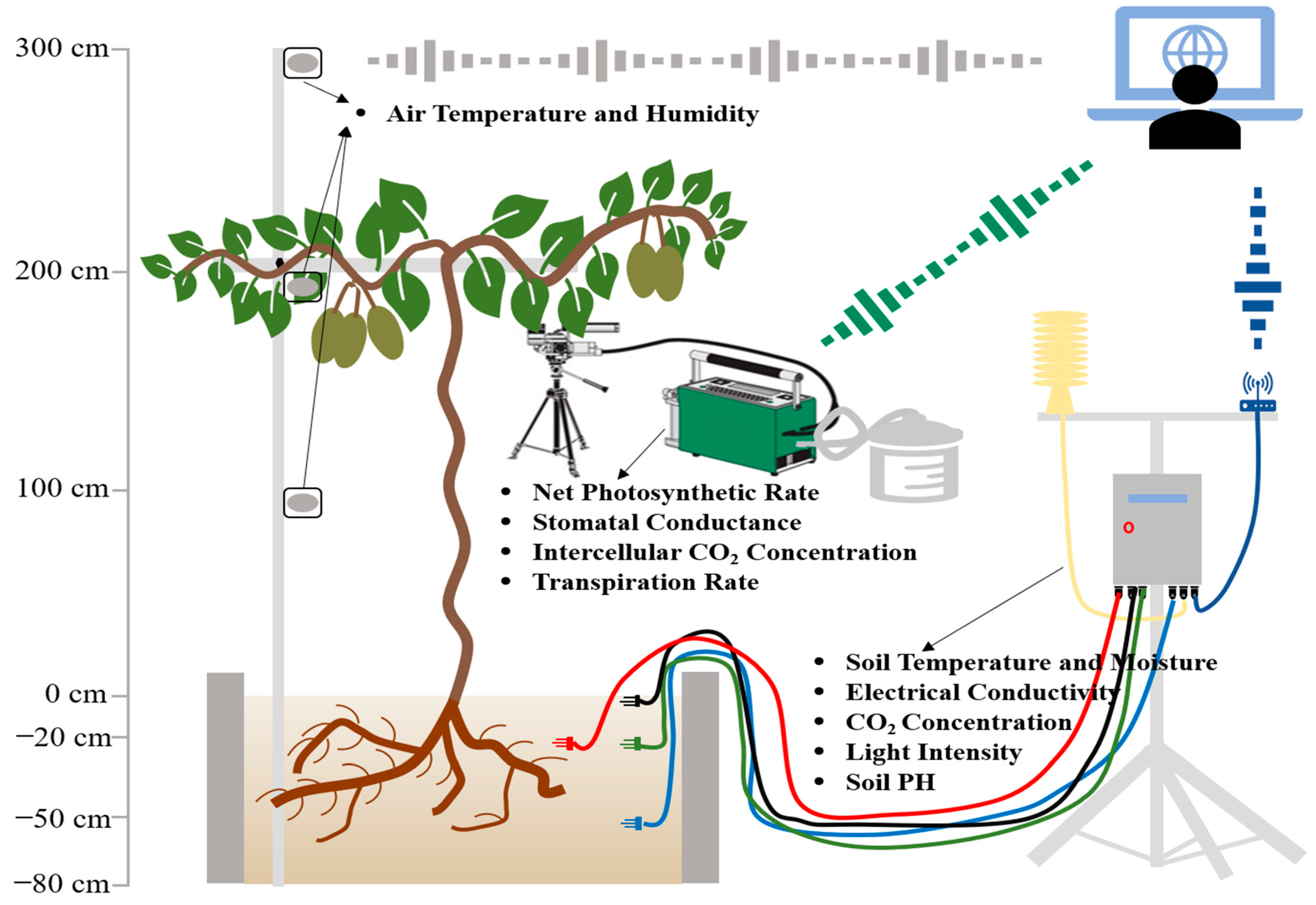Biology 11 01686 g002