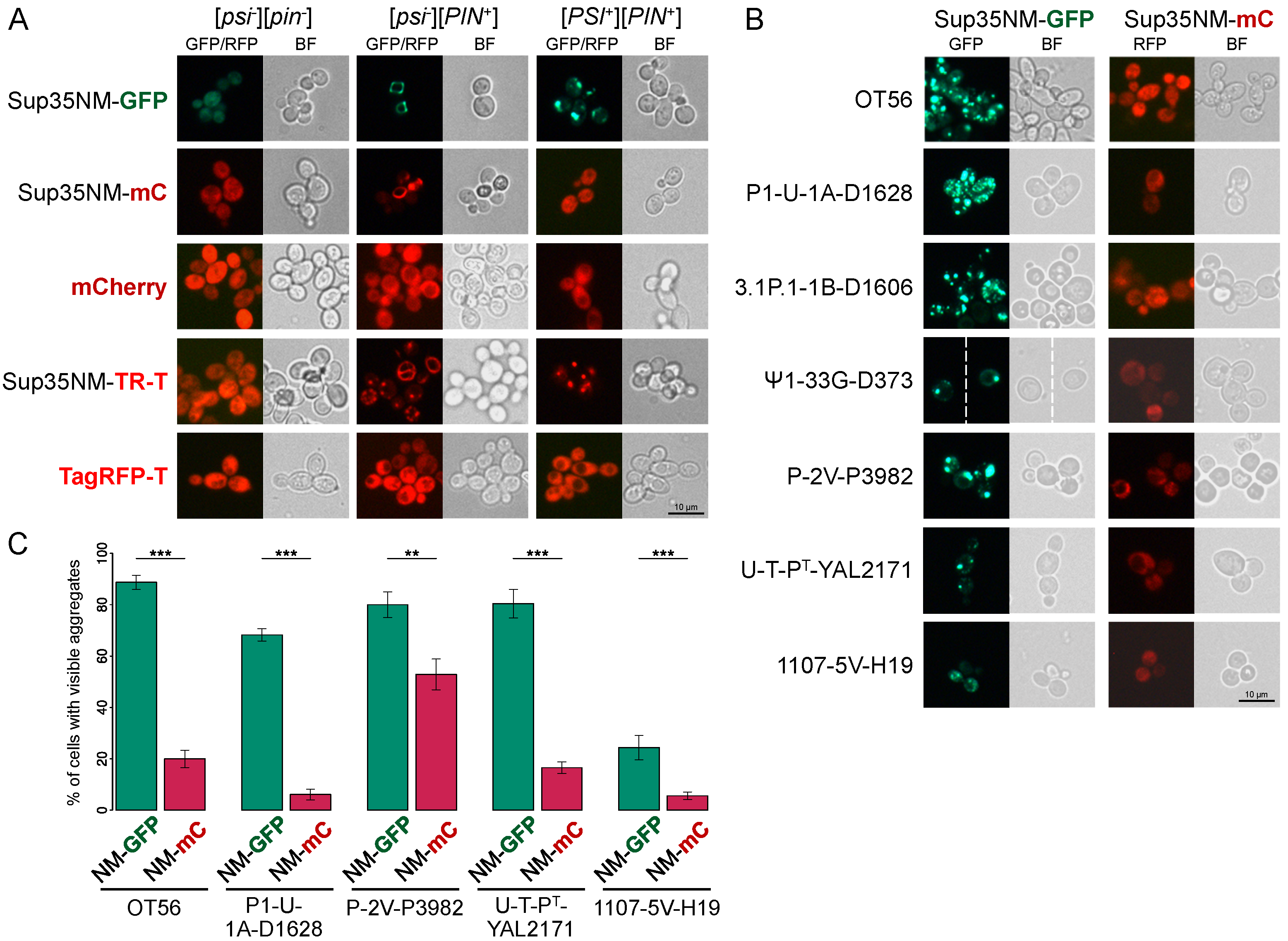 Biology 11 01688 g001