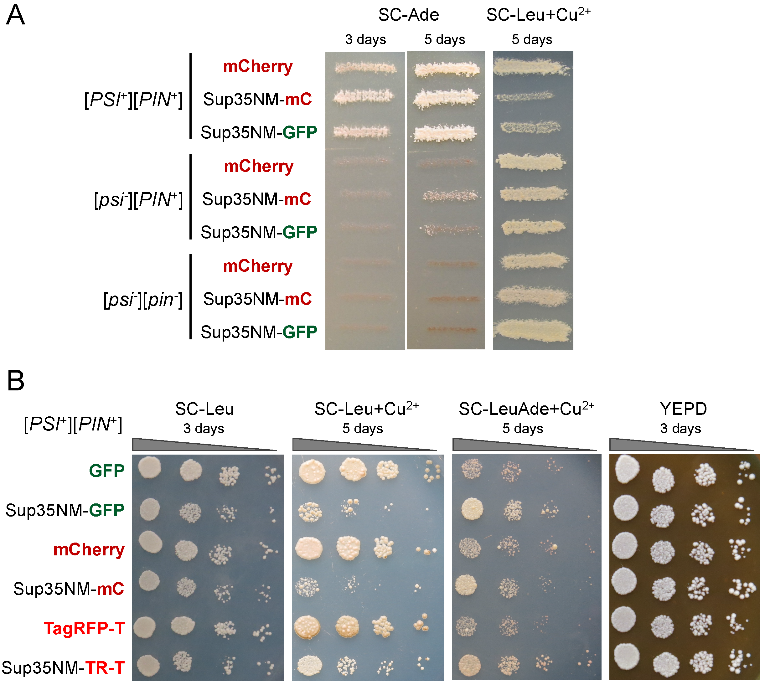Biology 11 01688 g002