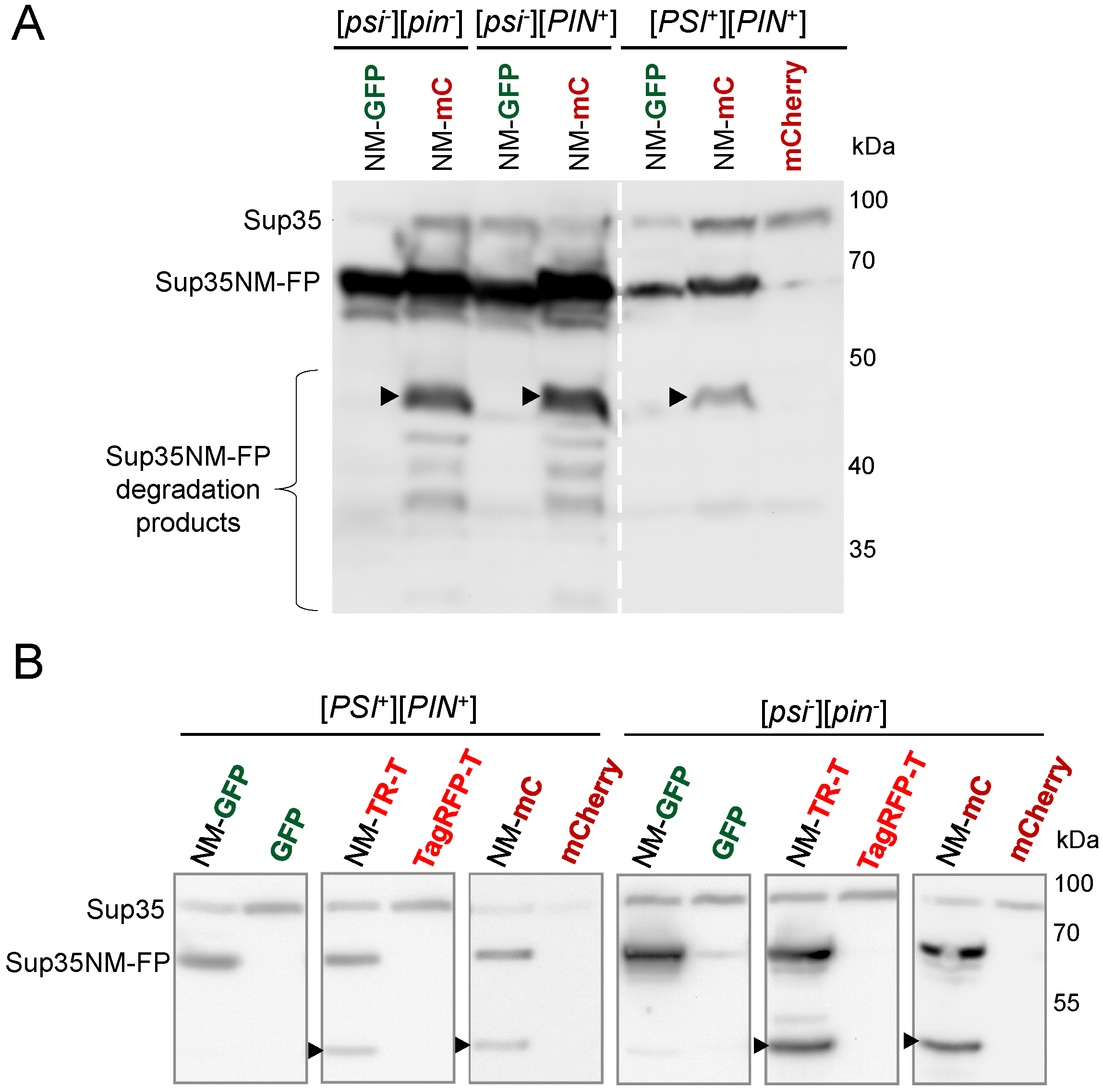 Biology 11 01688 g003