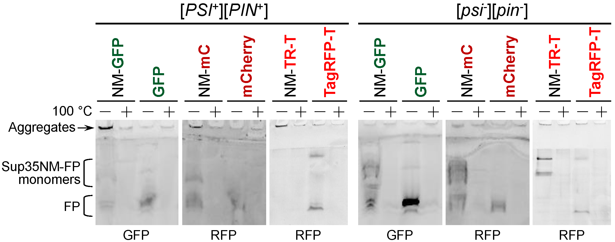 Biology 11 01688 g004