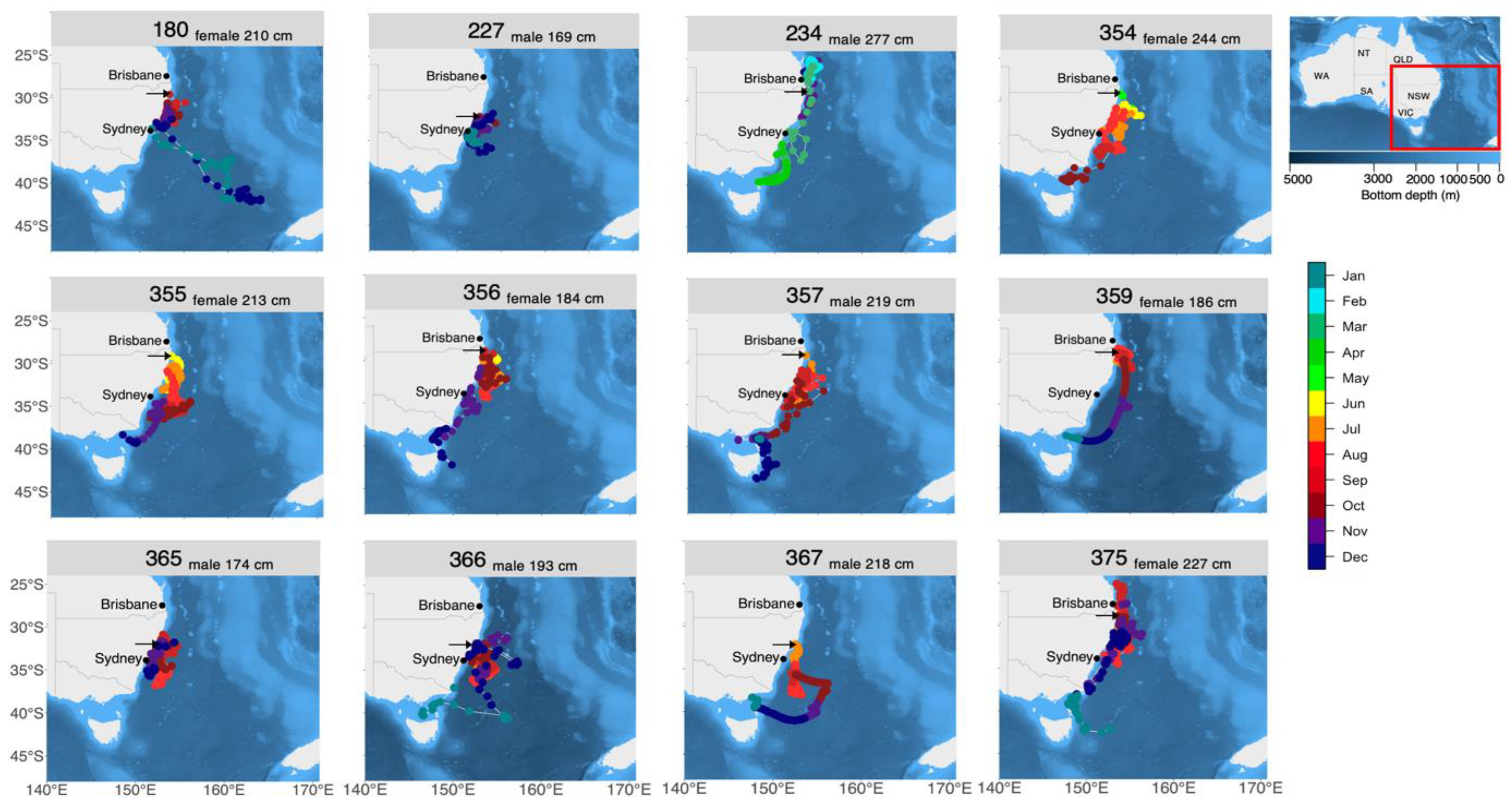 Biology 11 01689 g001 Biology 11 01689 g001