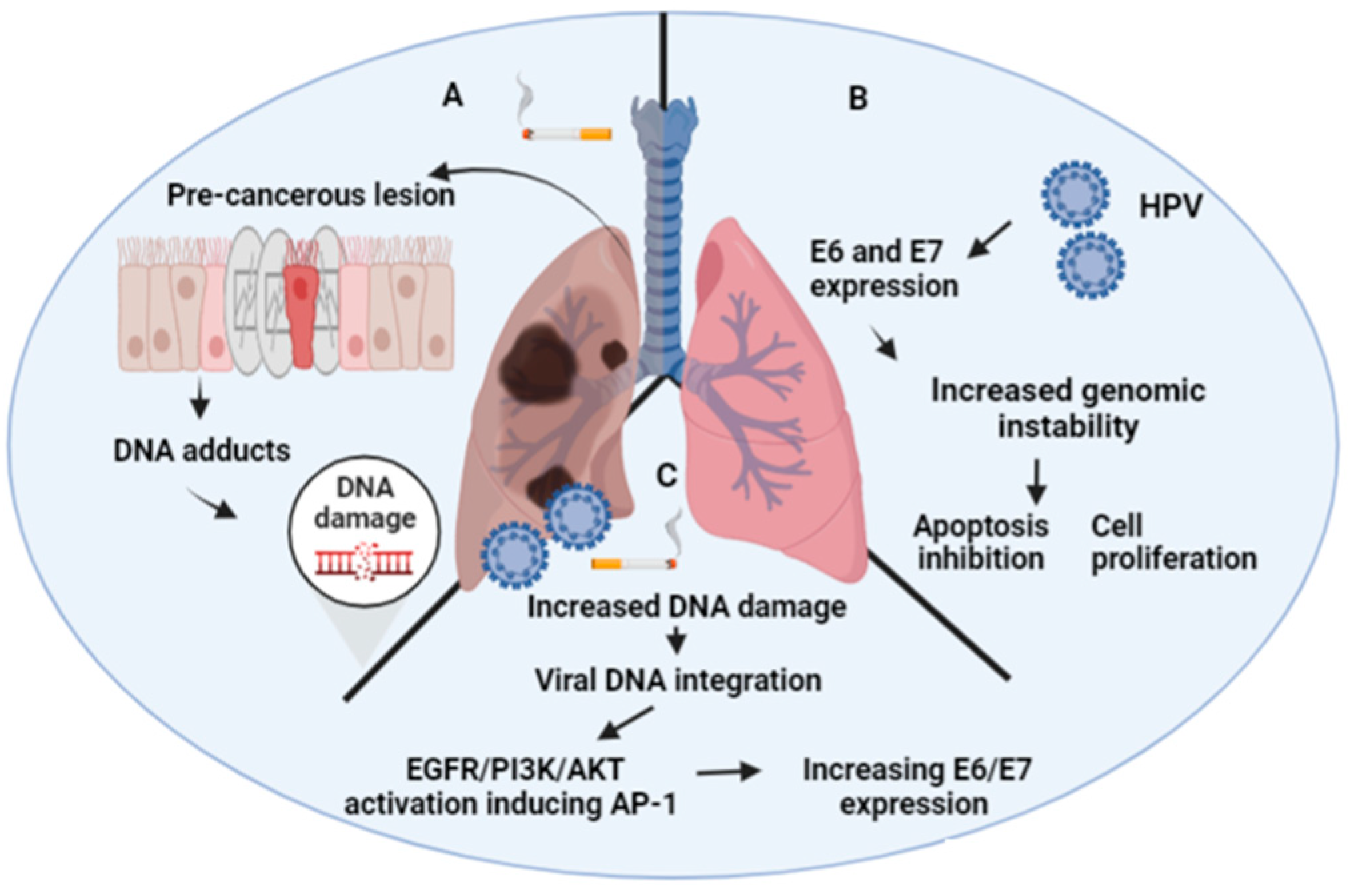 Biology 11 01691 g001