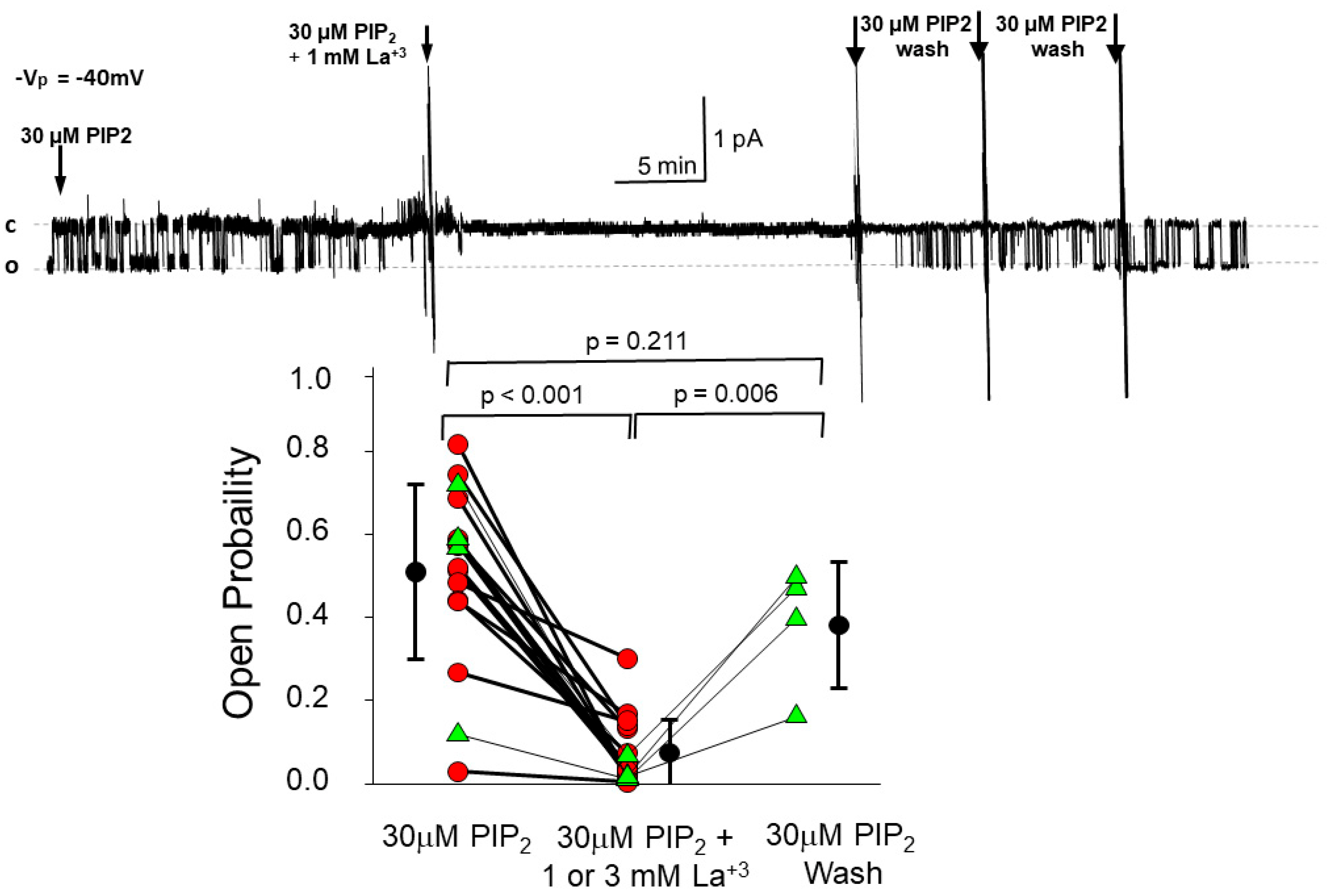 Biology 11 01694 g004 Biology 11 01694 g004
