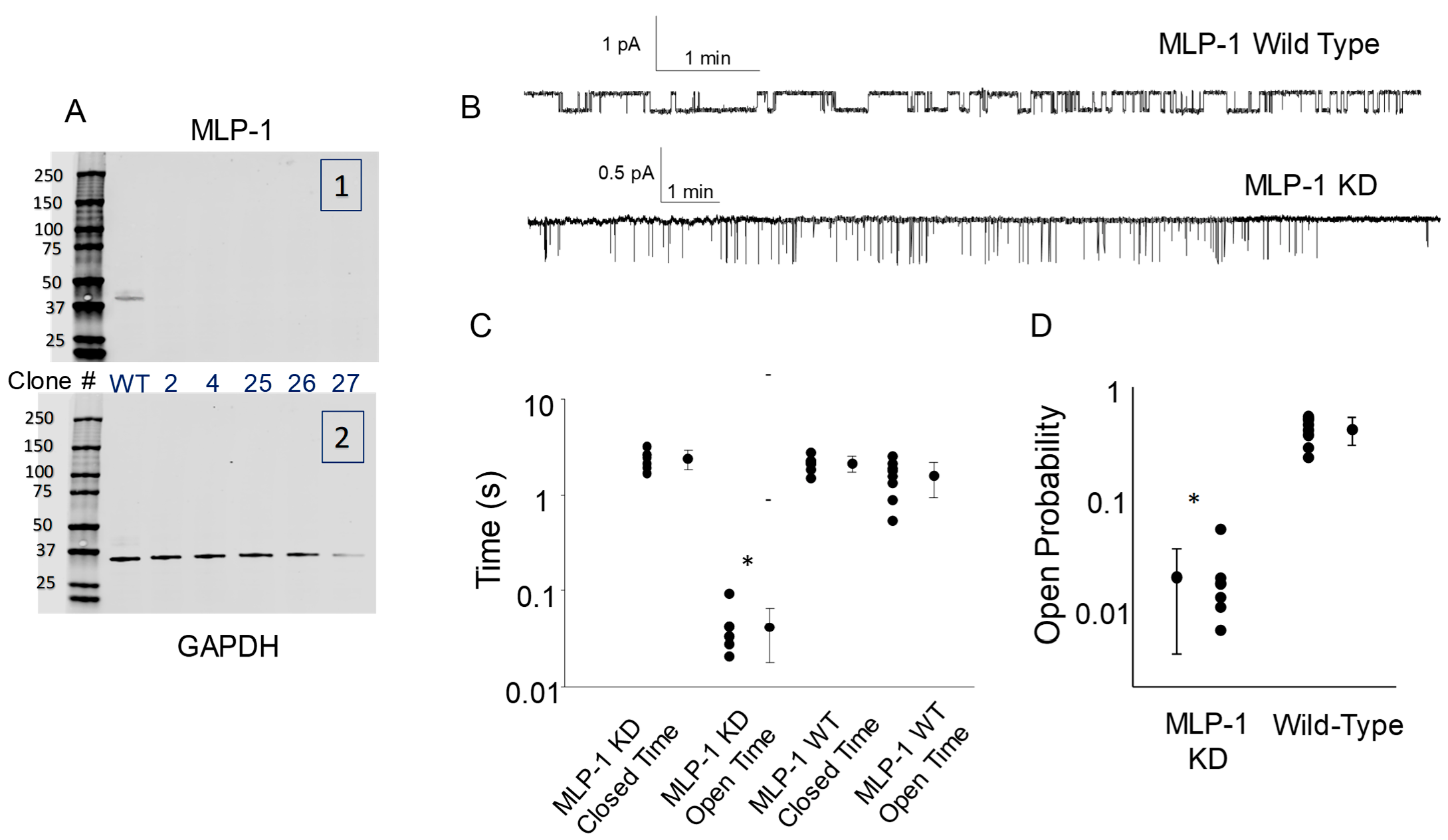 Biology 11 01694 g009 Biology 11 01694 g009