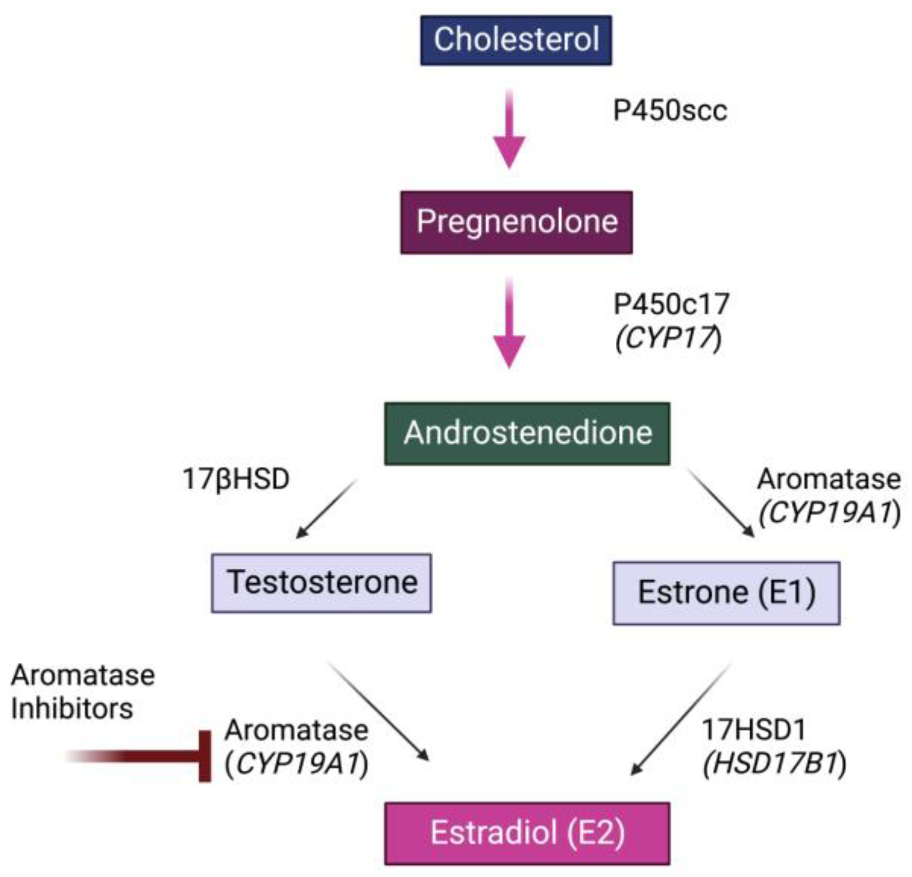 Biology 11 01698 g001 Biology 11 01698 g001