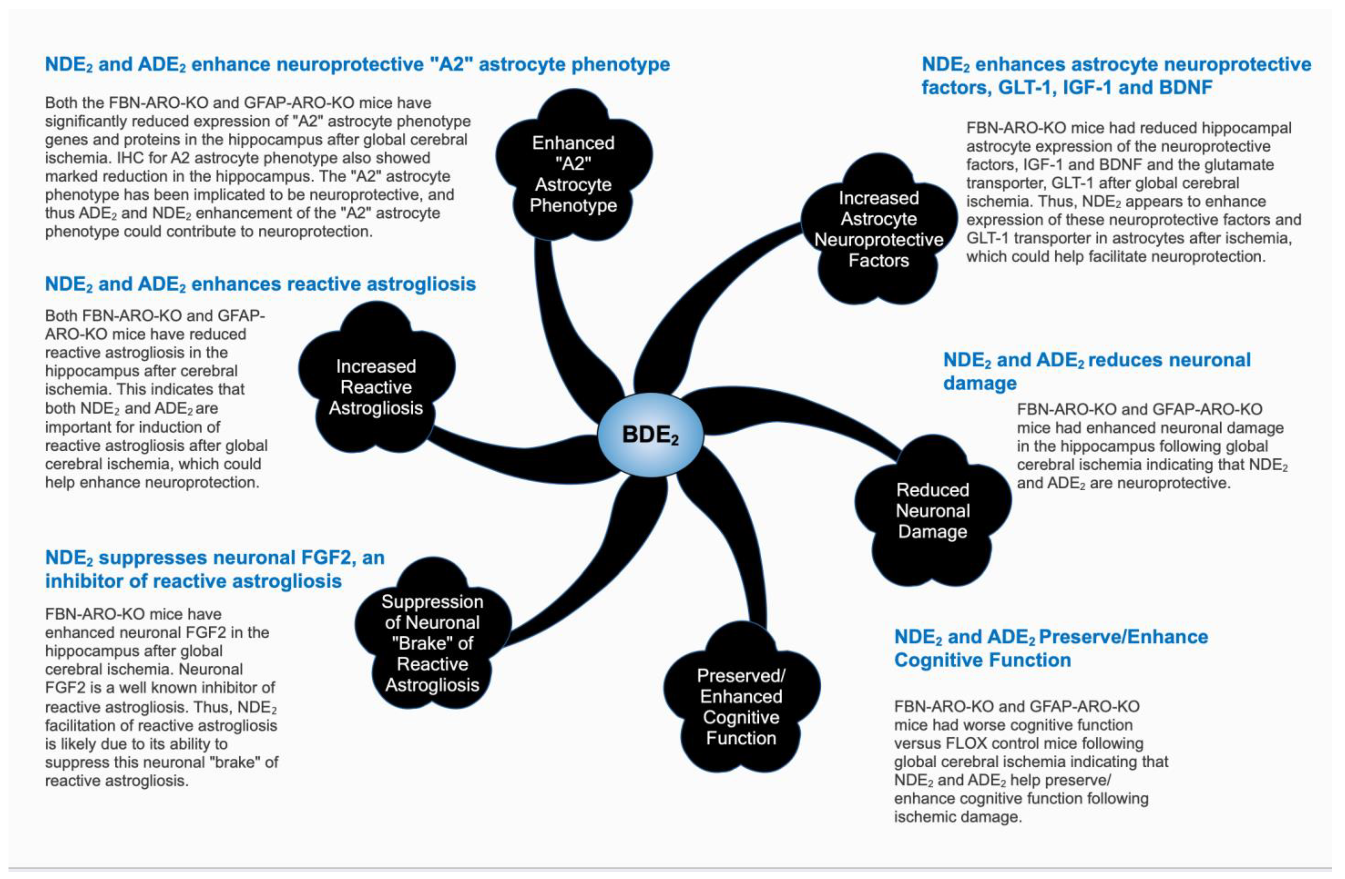 Biology 11 01698 g002 Biology 11 01698 g002