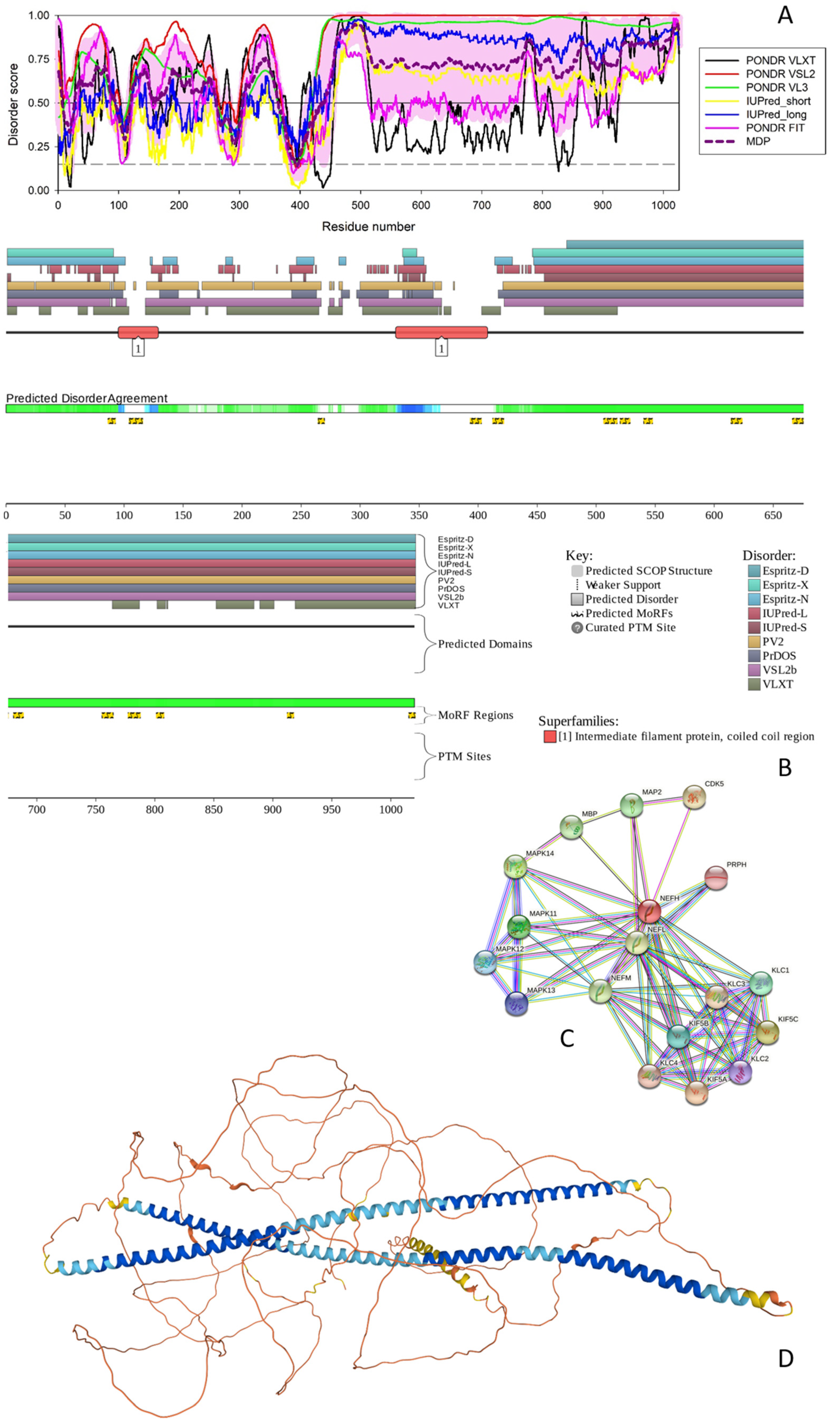 Biology 11 01704 g001