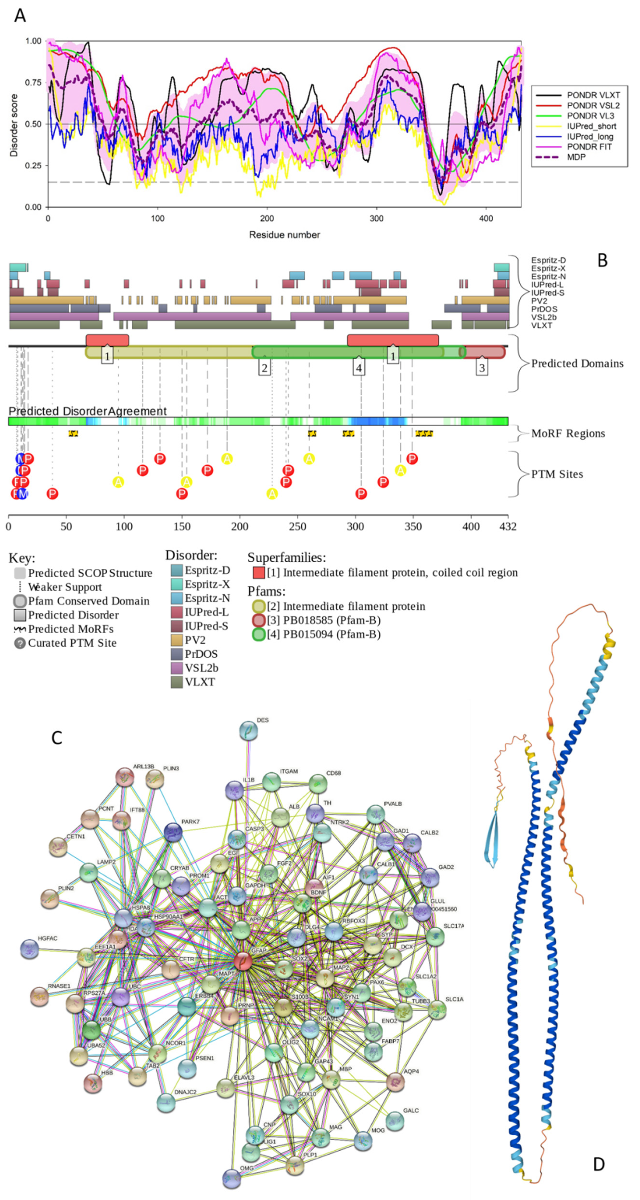 Biology 11 01704 g004