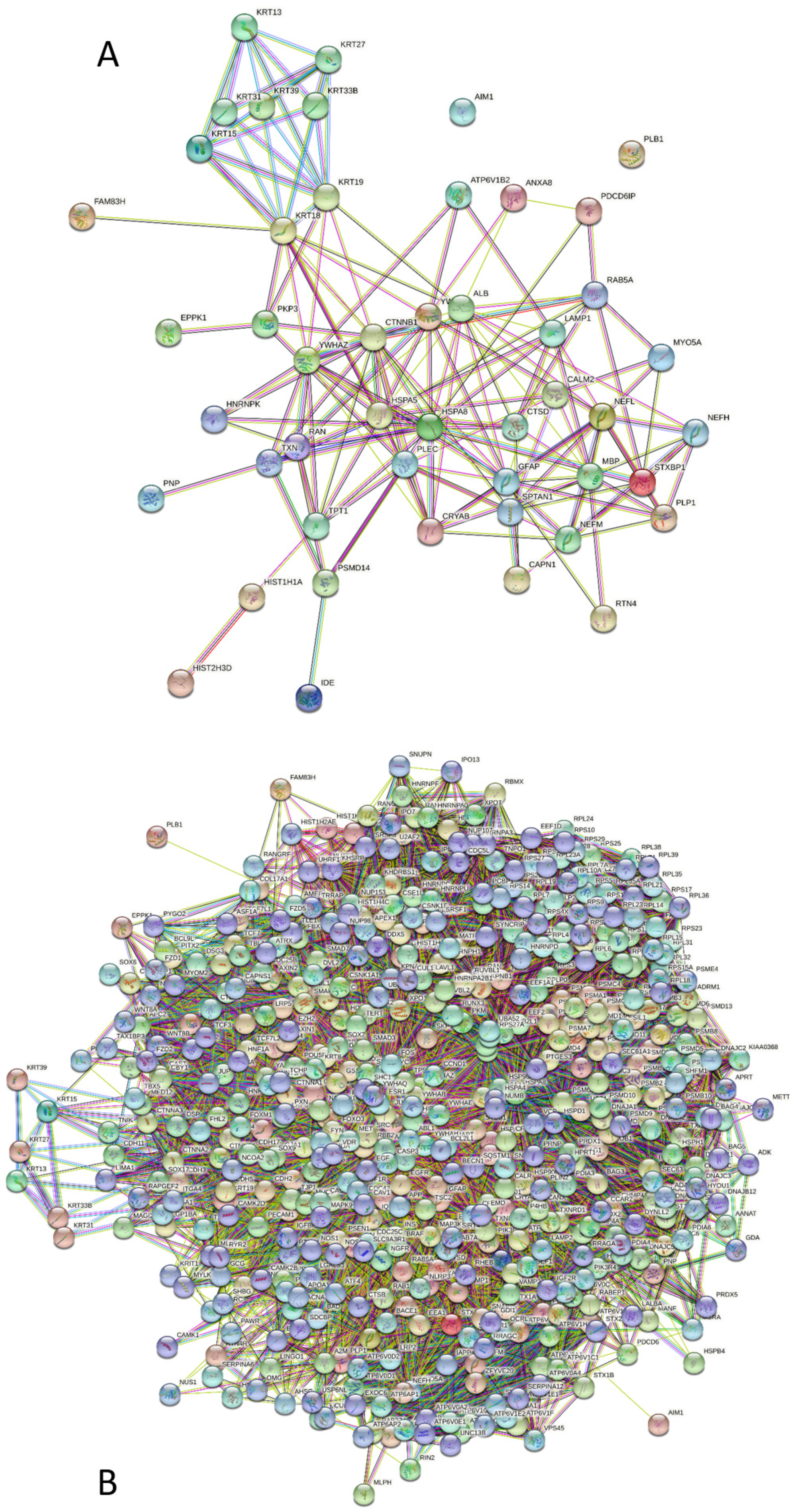 Biology 11 01704 g009