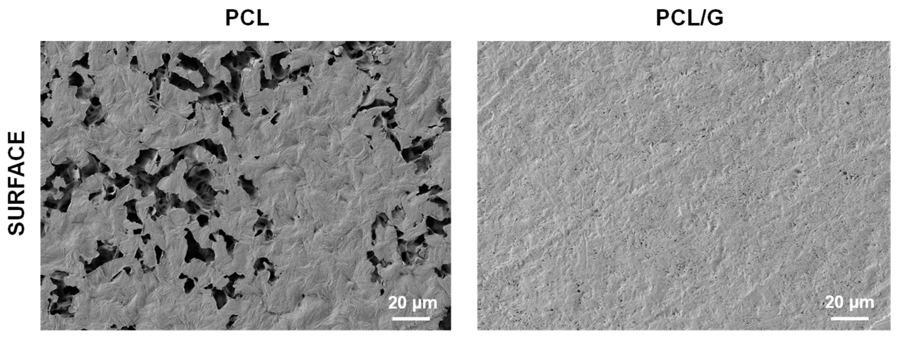 Biology 11 01706 g001