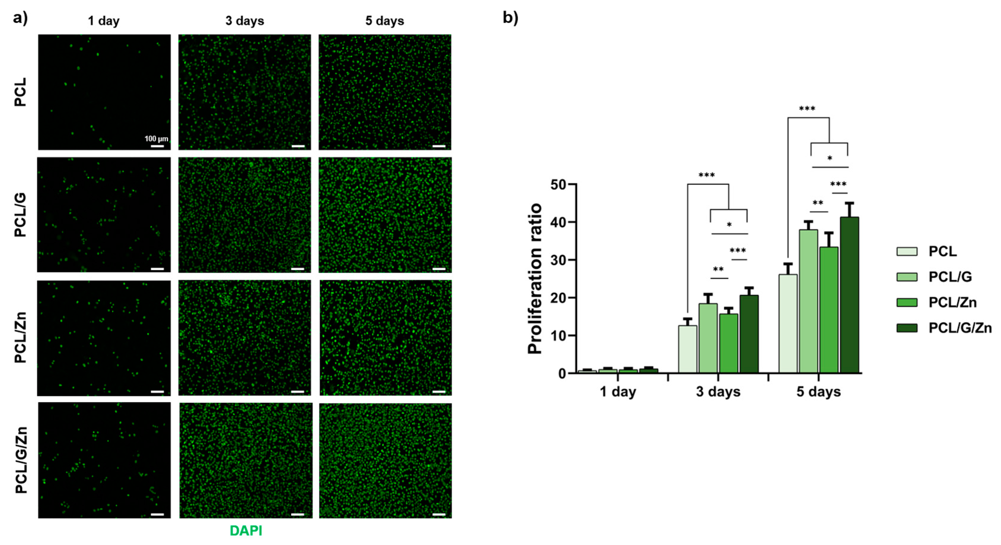 Biology 11 01706 g004