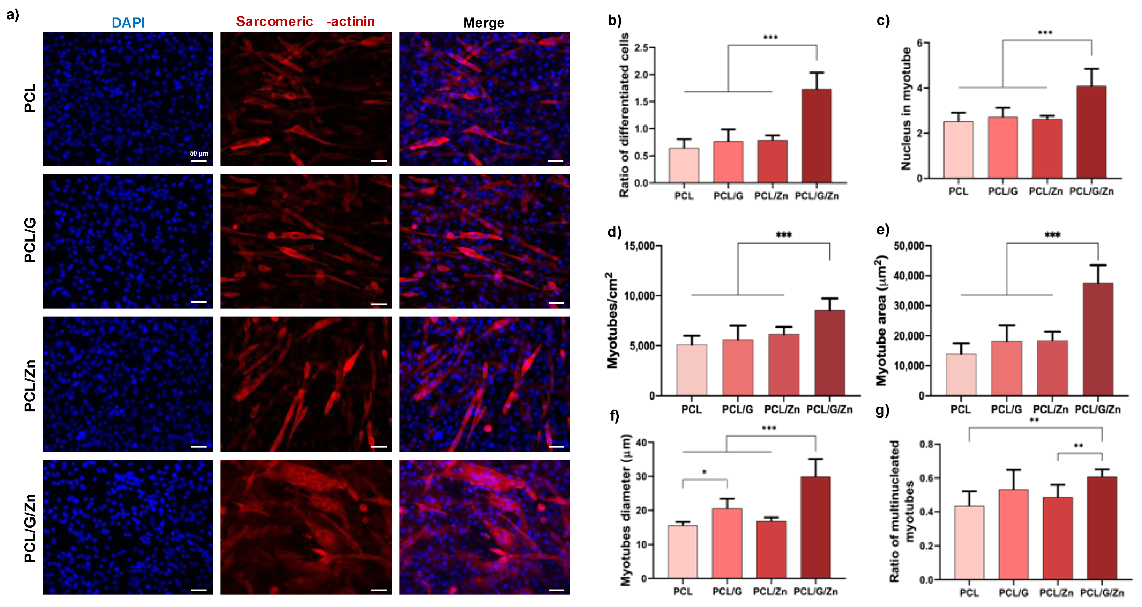 Biology 11 01706 g005