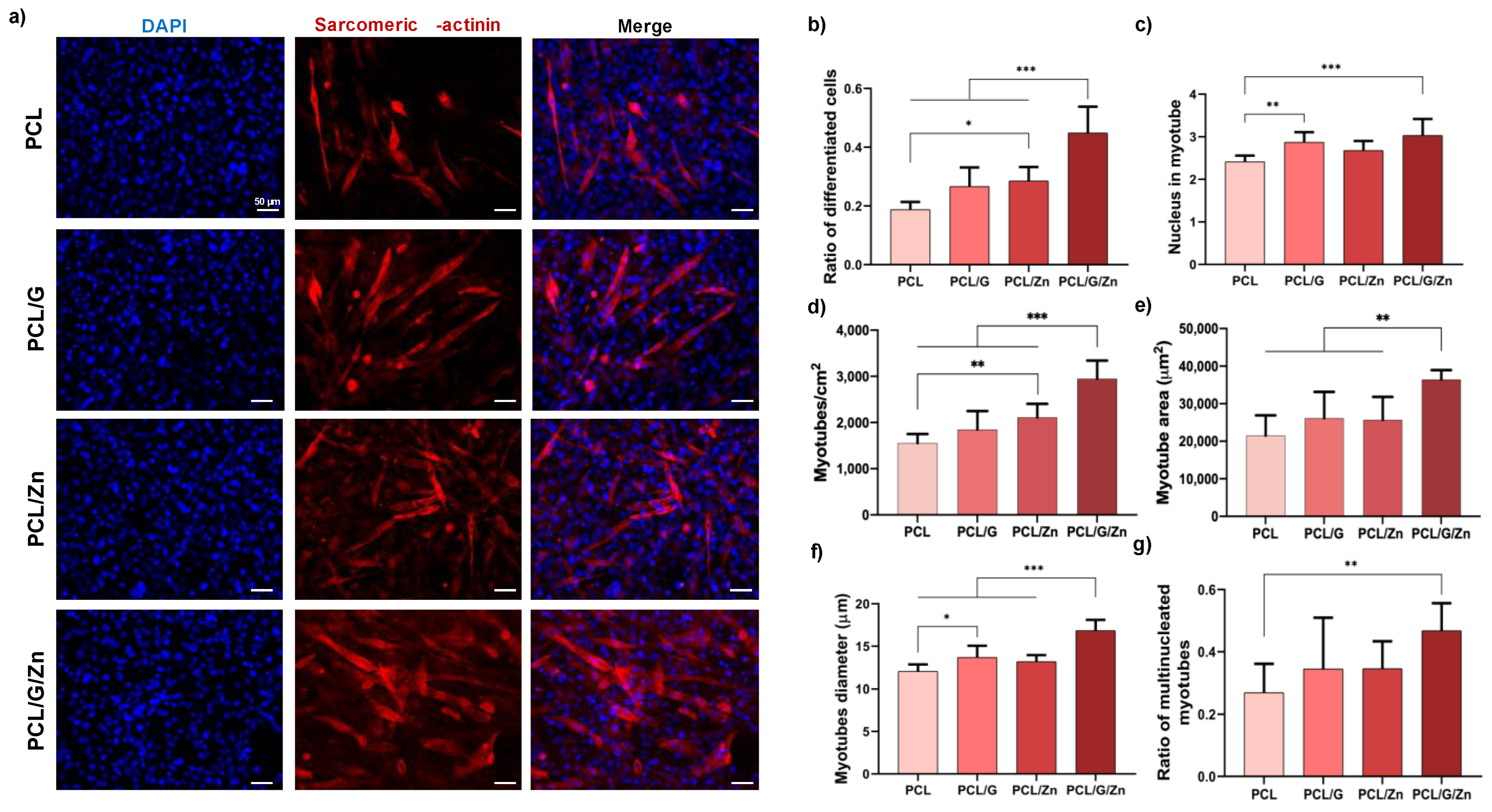 Biology 11 01706 g006