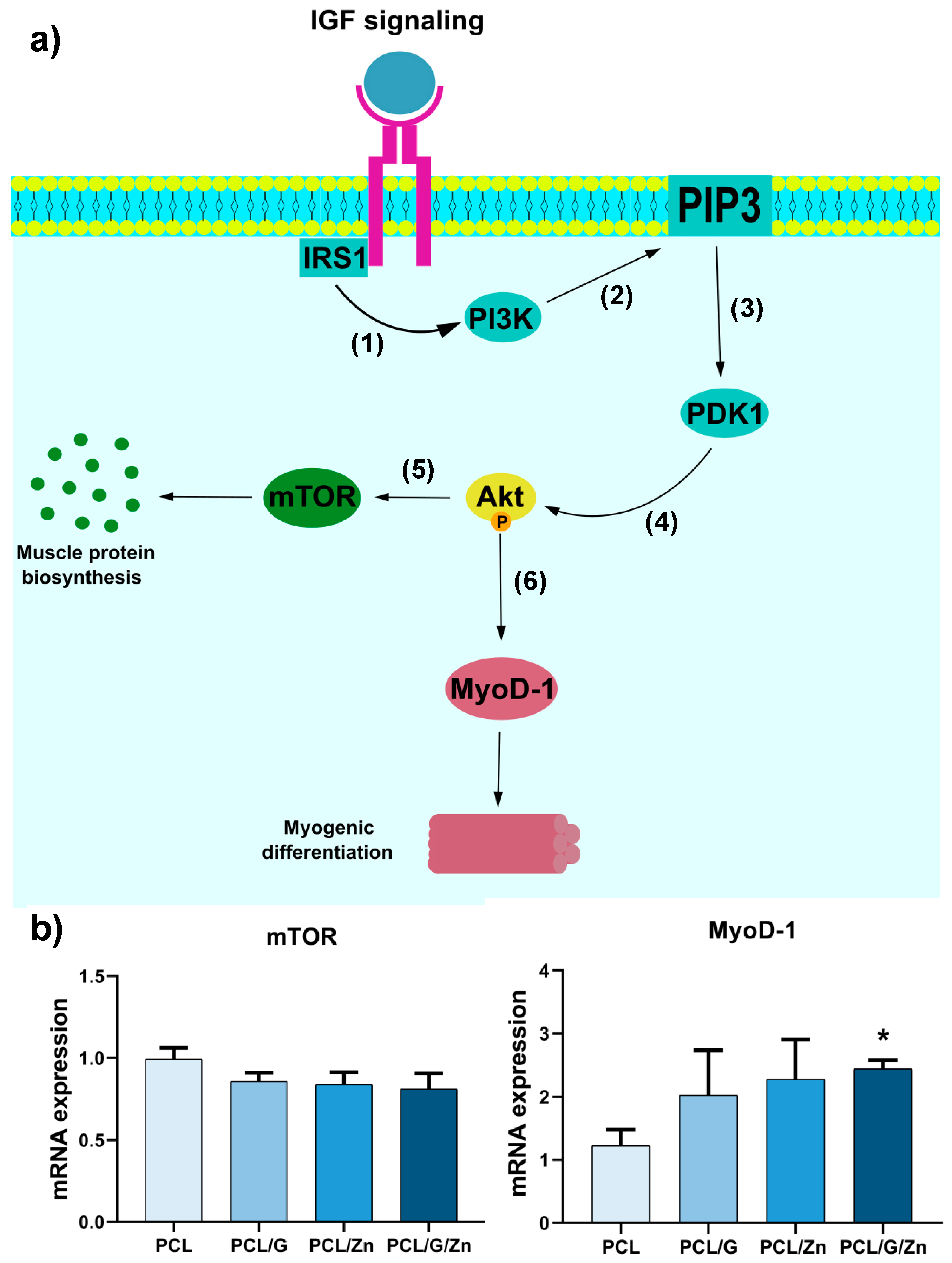 Biology 11 01706 g007