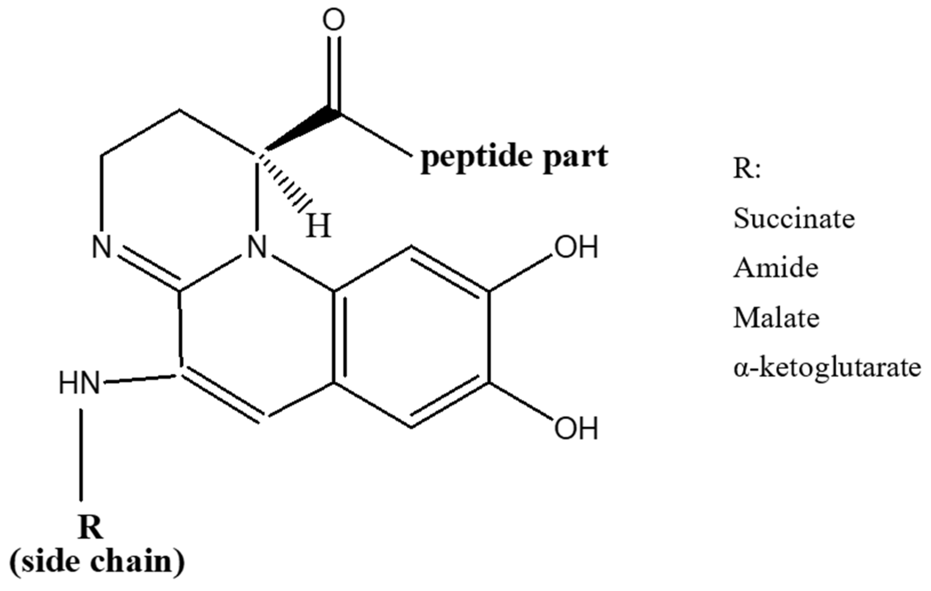 Biology 11 01711 g001 Biology 11 01711 g001