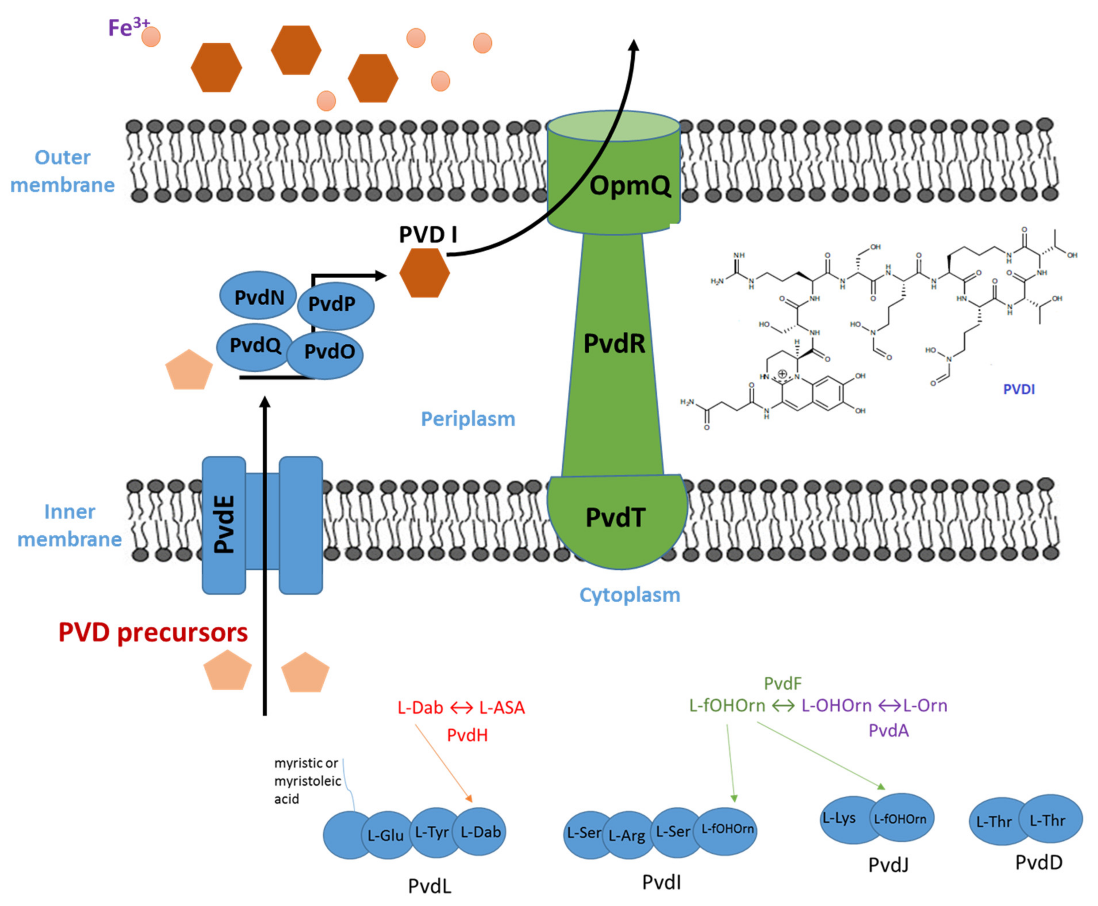 Biology 11 01711 g002 Biology 11 01711 g002