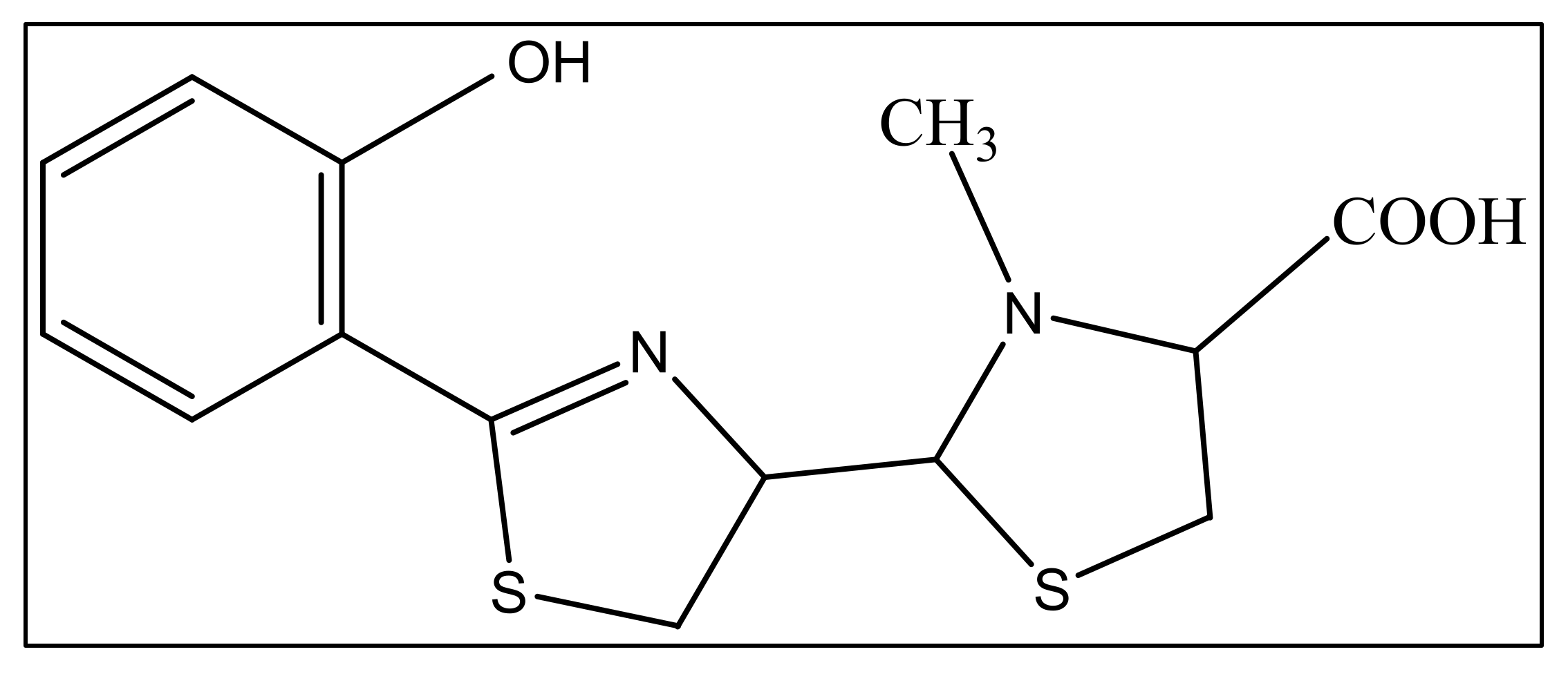 Biology 11 01711 g004 Biology 11 01711 g004