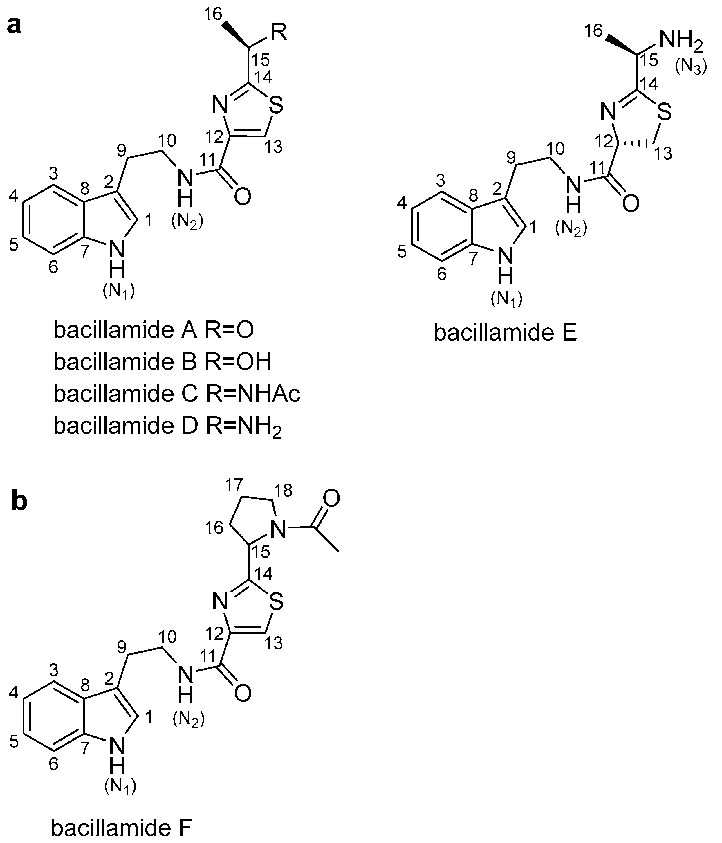 Biology 11 01712 g001 Biology 11 01712 g001