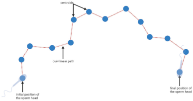 Biology 11 01715 i001 Biology 11 01715 i001