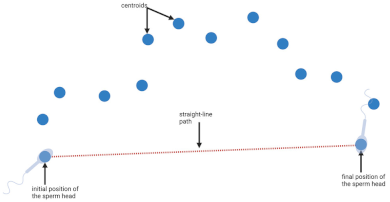 Biology 11 01715 i002 Biology 11 01715 i002