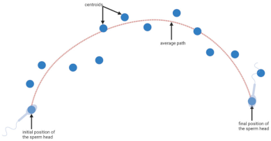 Biology 11 01715 i003 Biology 11 01715 i003