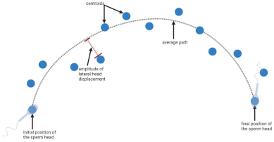 Biology 11 01715 i004 Biology 11 01715 i004