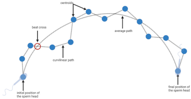 Biology 11 01715 i005 Biology 11 01715 i005