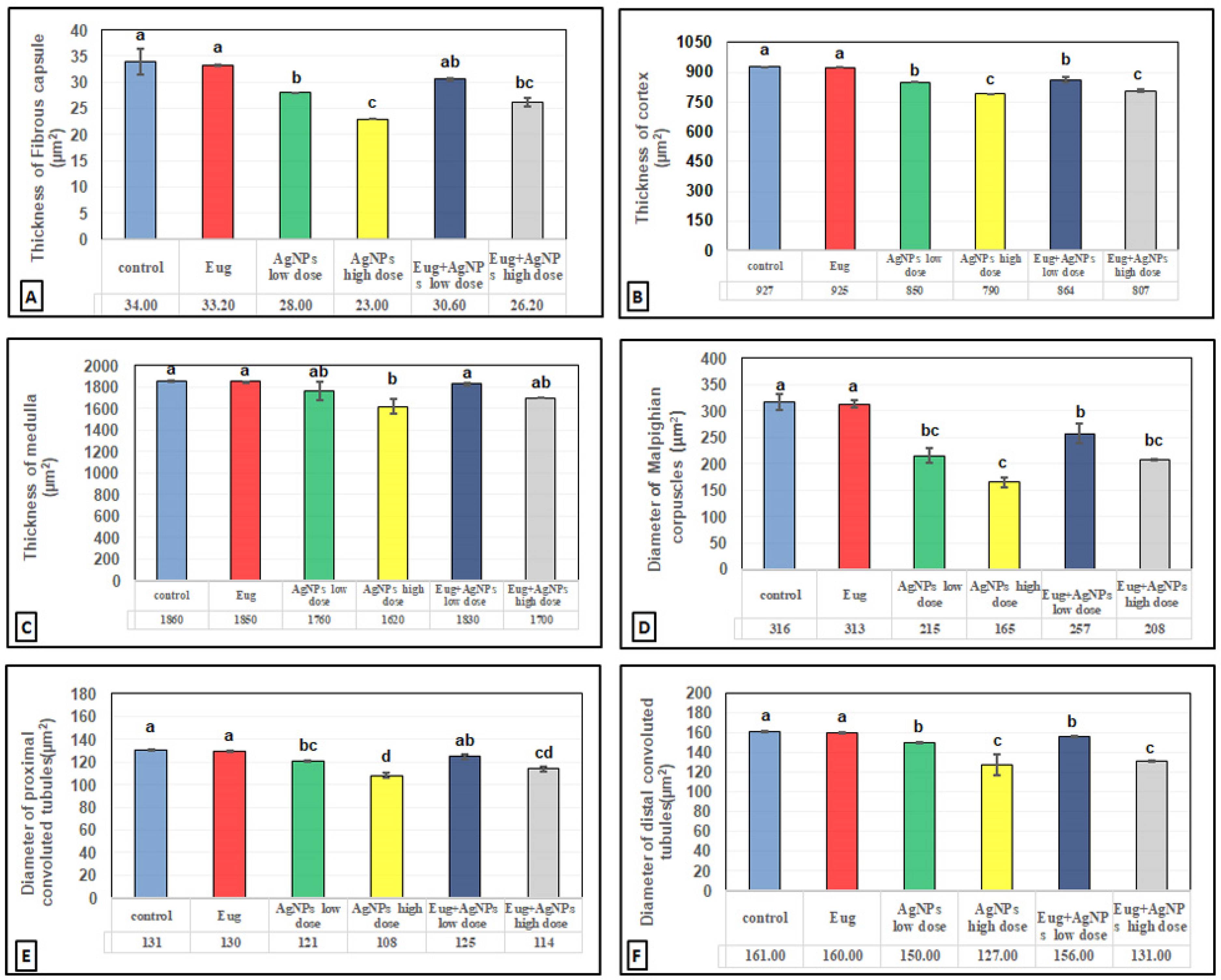 Biology 11 01719 g004 Biology 11 01719 g004