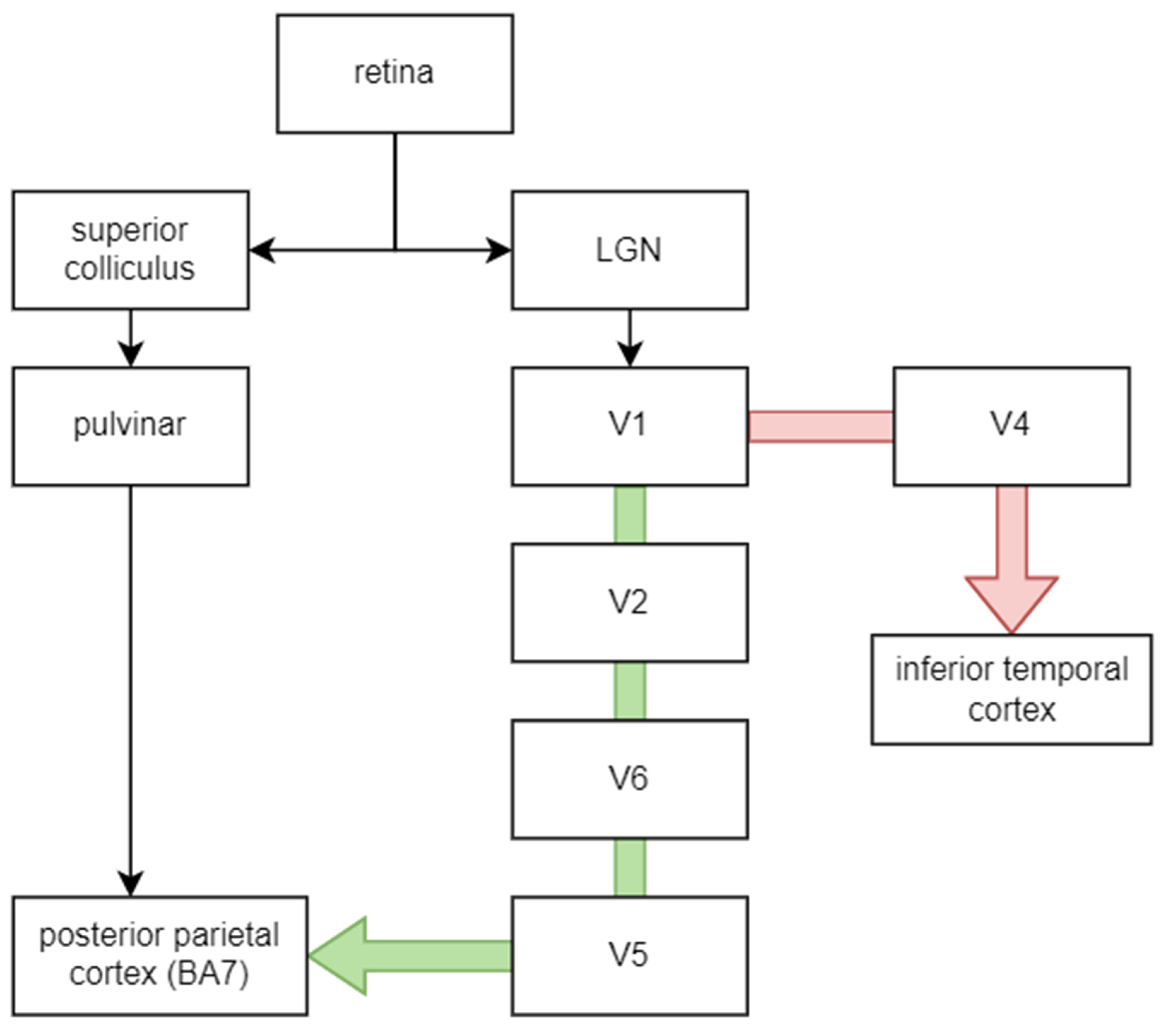 Biology 11 01720 g002